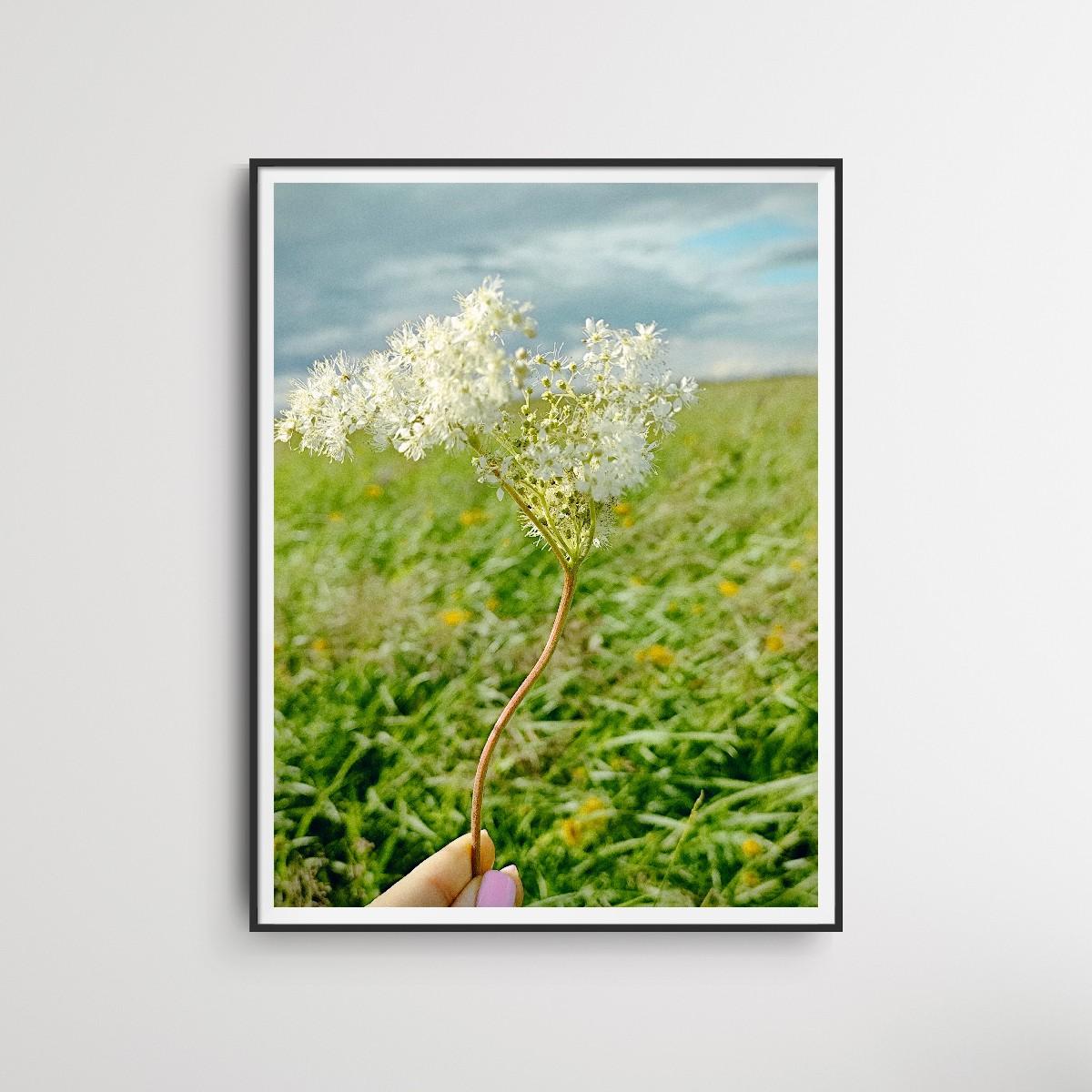 Moderne Kunstfotografie Natur Blumenwiese auf Premiumpapier 