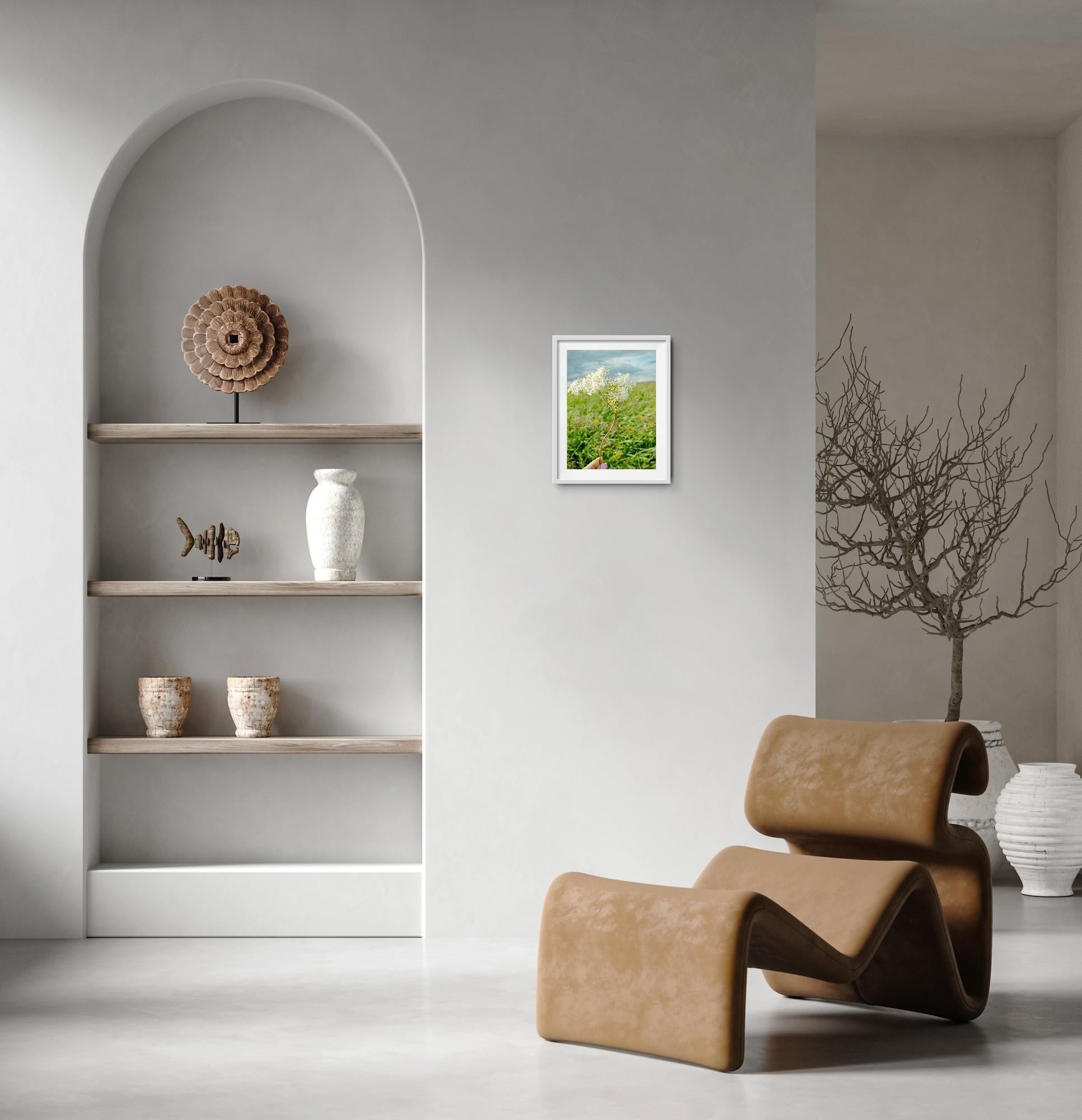 Moderne Kunstfotografie Natur Blumenwiese auf Premiumpapier 