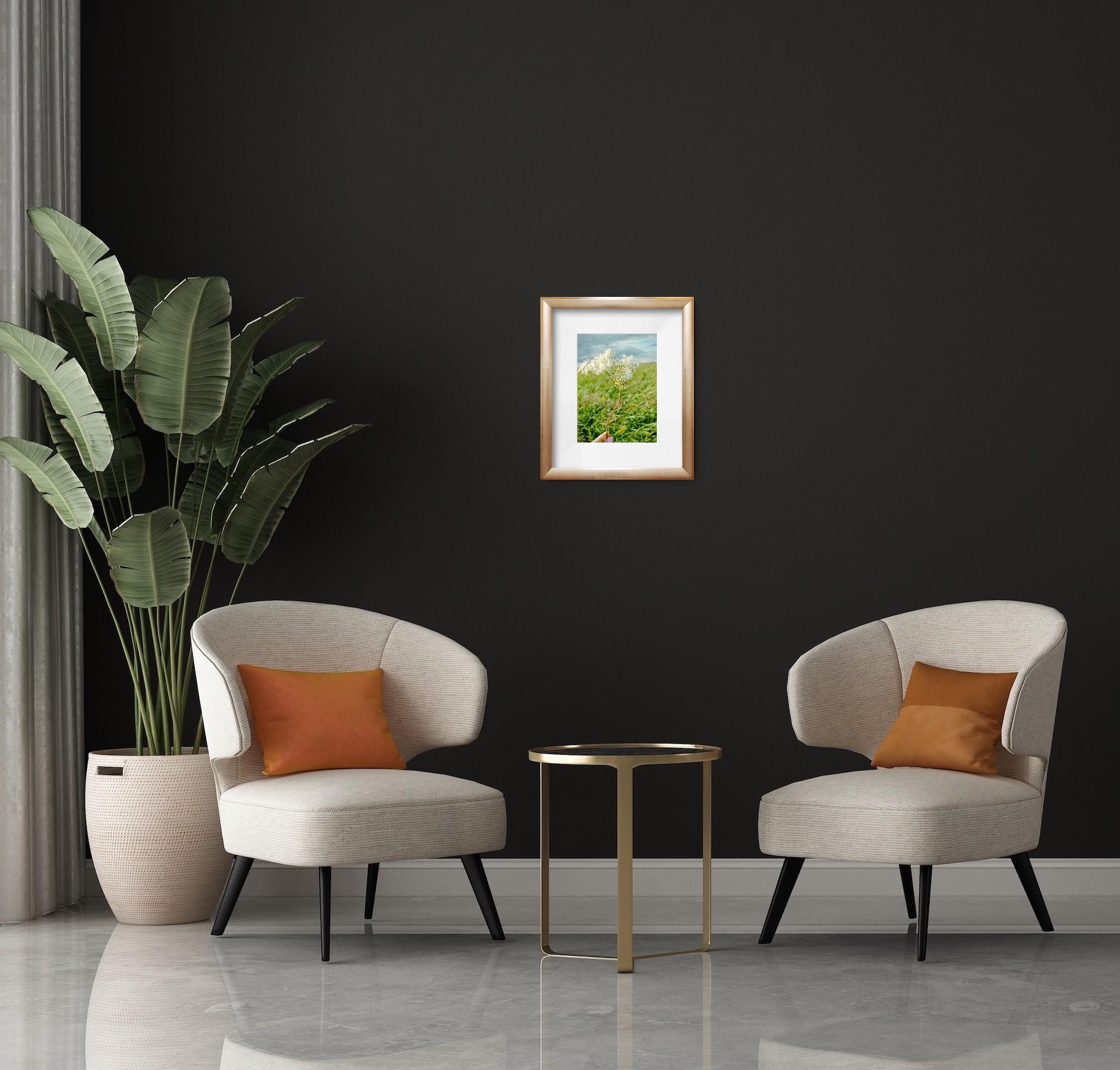 Moderne Kunstfotografie Natur Blumenwiese auf Premiumpapier 