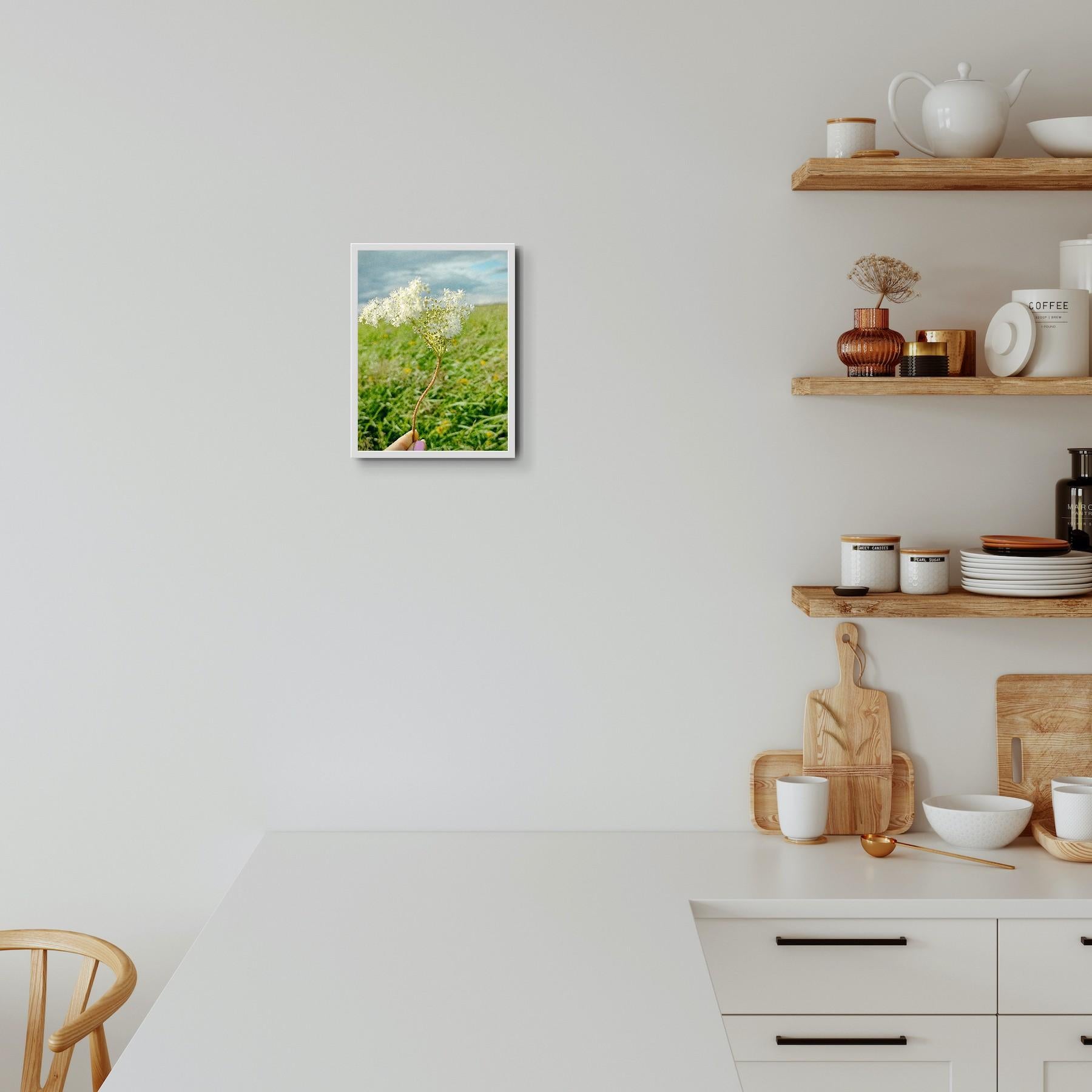Moderne Kunstfotografie Natur Blumenwiese auf Premiumpapier 