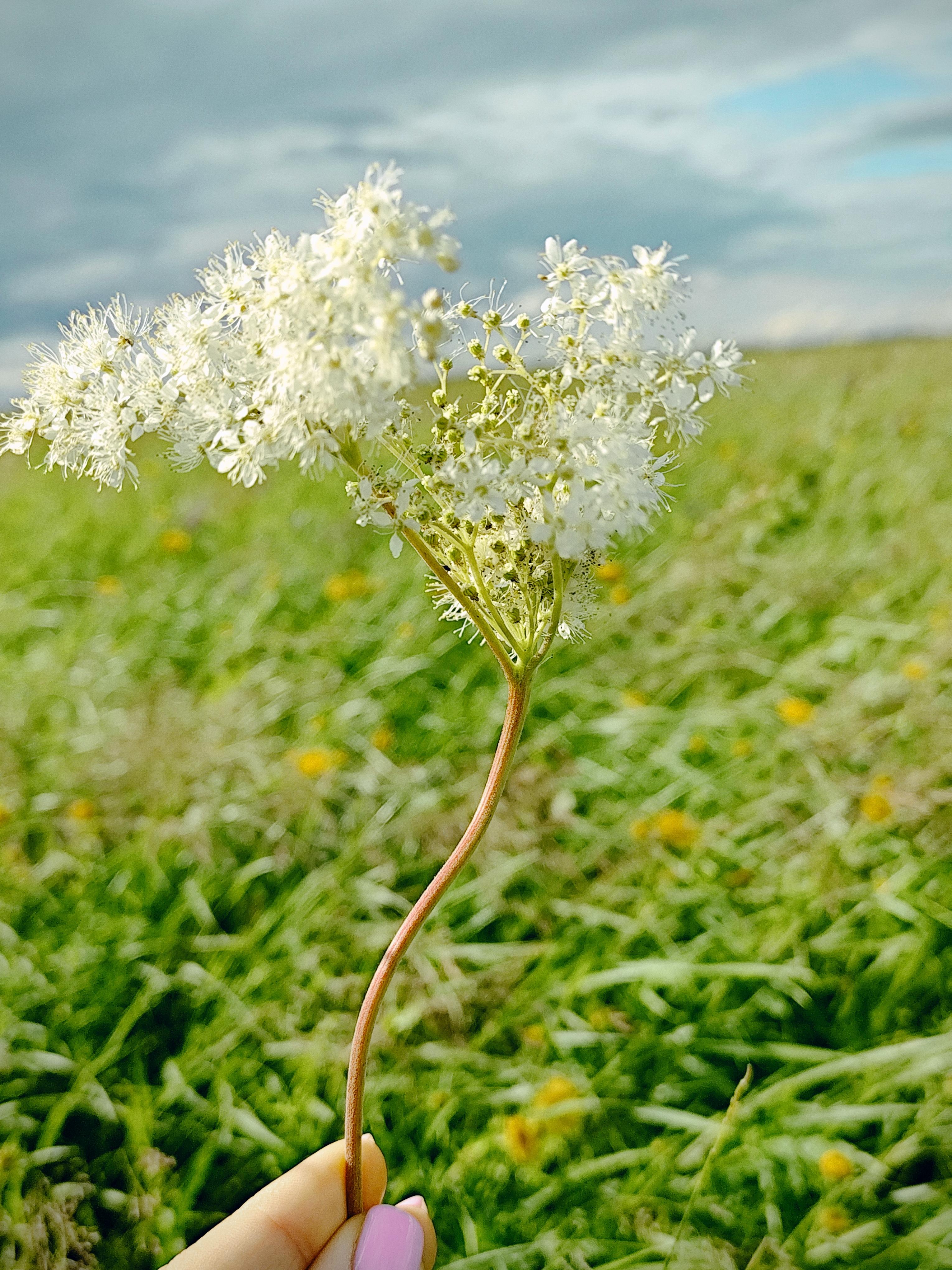Draußen Fotografie