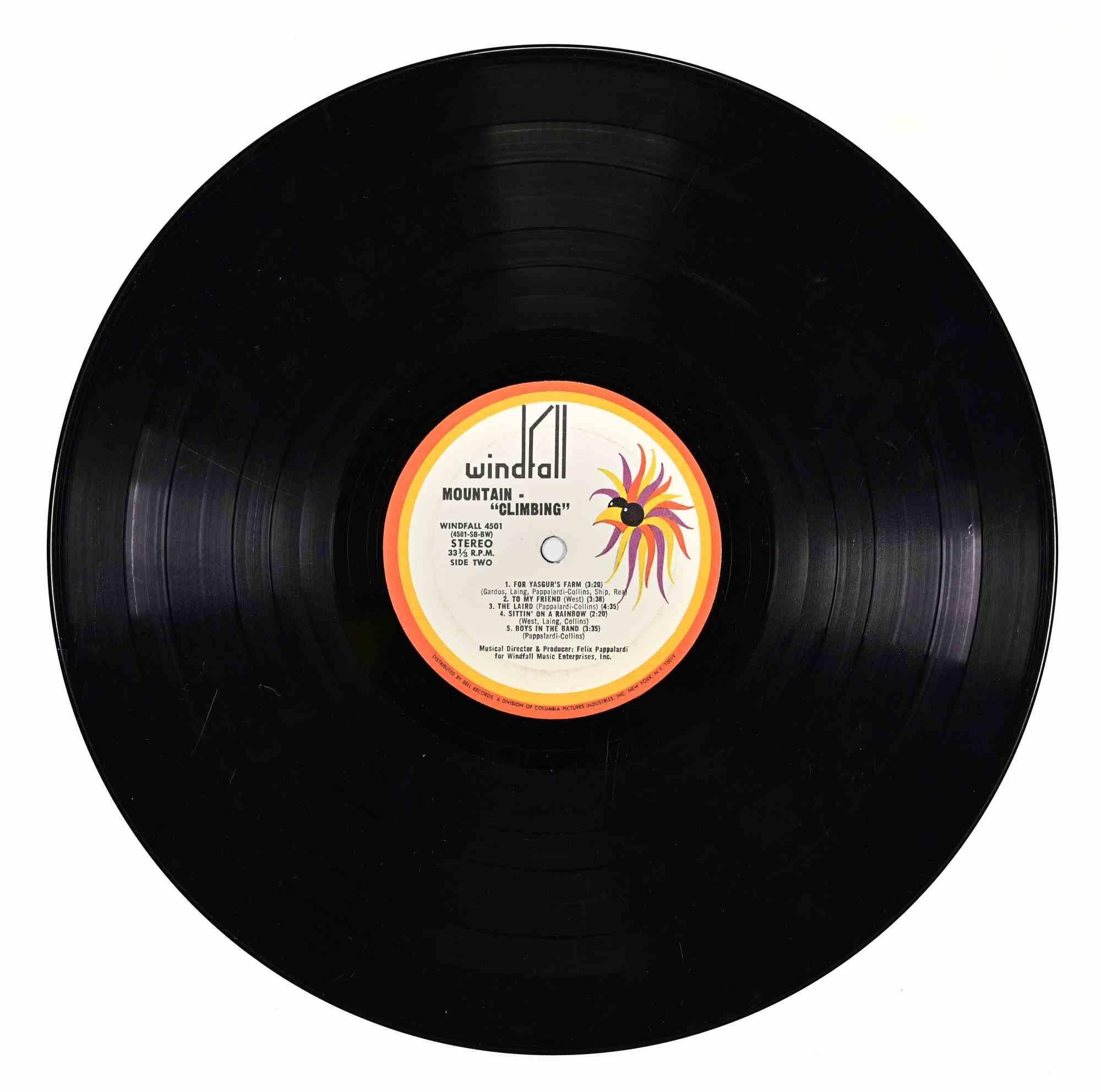 Montaña - ¡Escalada! (Firmado) Estadounidense en venta