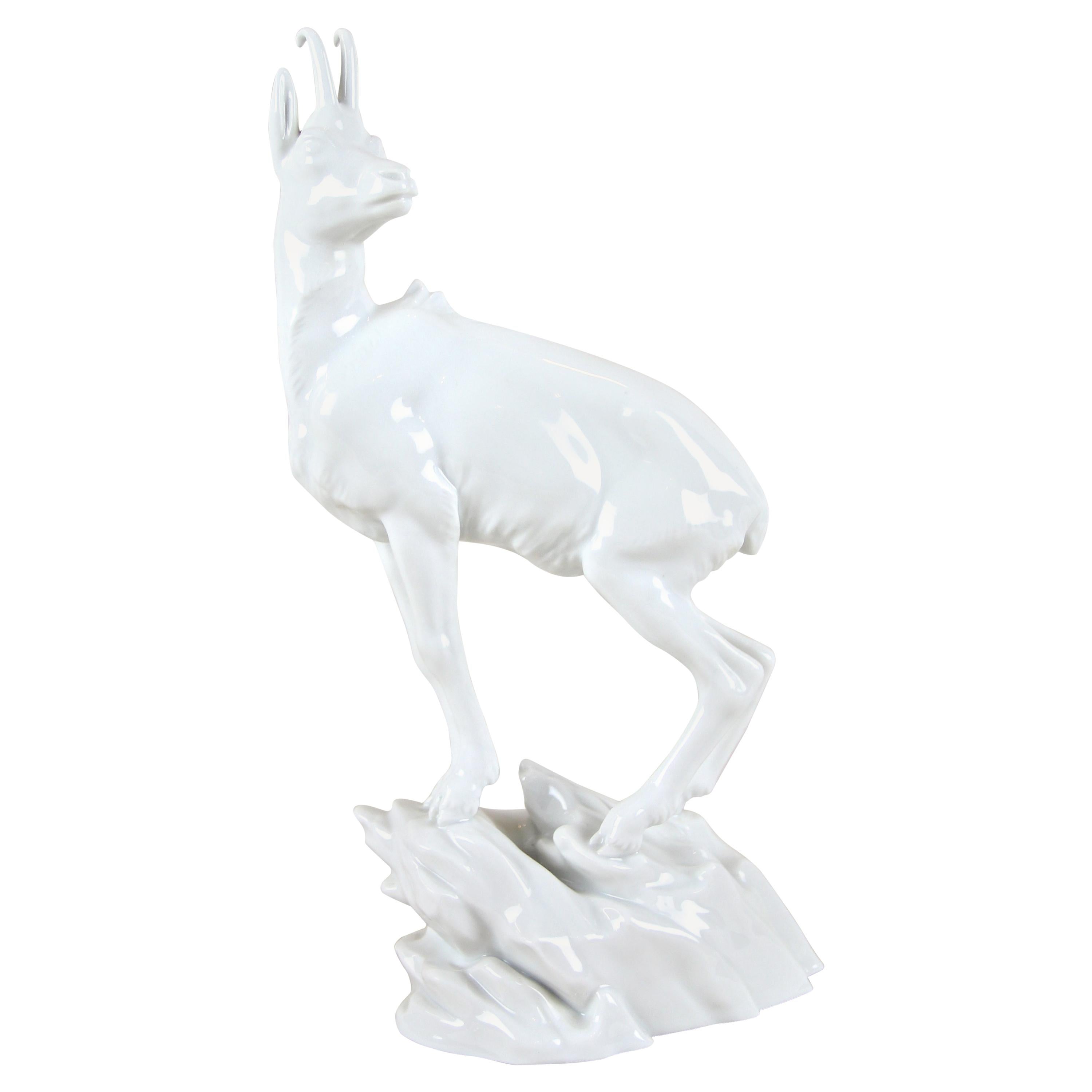 Coming out of the famous manufactory of Augarten Porcelain in Vienna circa 1930, we present to you this rare mountain goat. Made with great focus on details, this small animal sculpture shows best the unsurpassed quality of the world renown