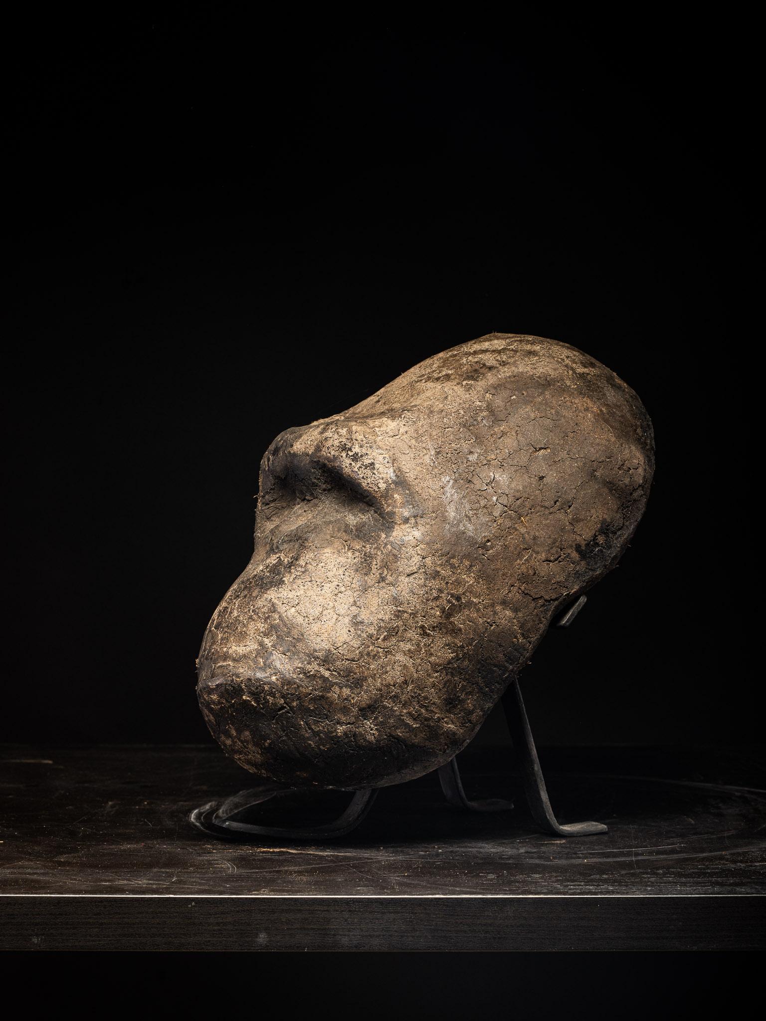 Mountain Gorilla 1 - Contemporary Unique Handmade Sculpture, Portrait For Sale 3