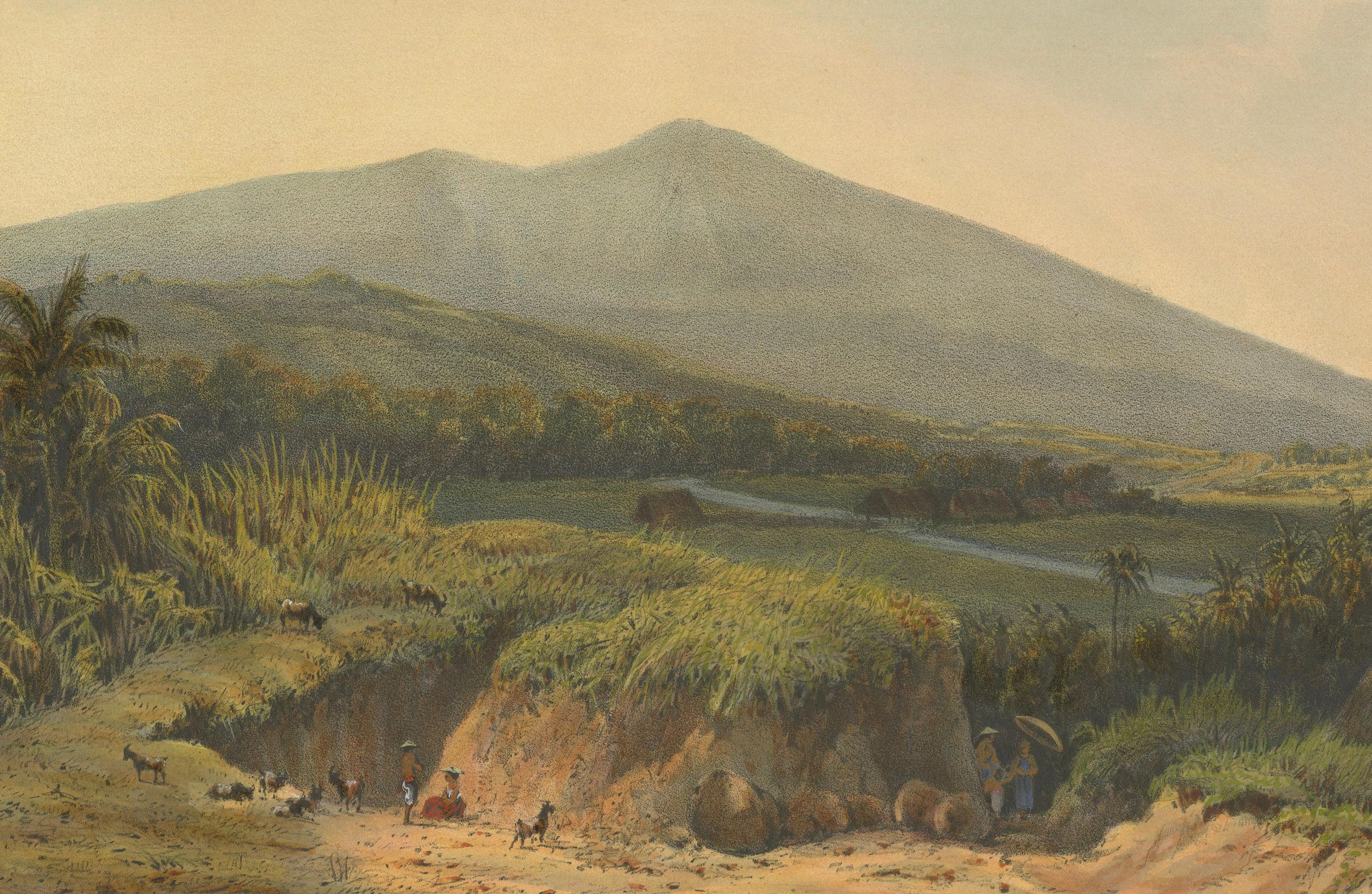 Mountain Landscape near Kedong Badak – Rare Java Lithograph from 1872 In Good Condition For Sale In Langweer, NL
