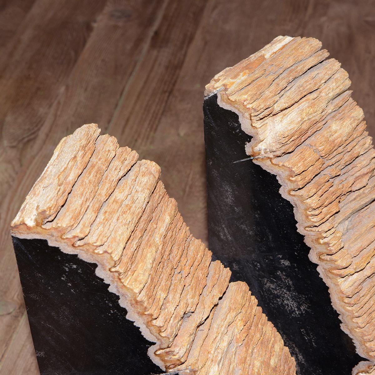 Mountain Petrified Set of 2 Bookends For Sale 2
