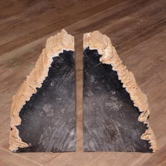 Mountain Petrified Set of 2 Bookends