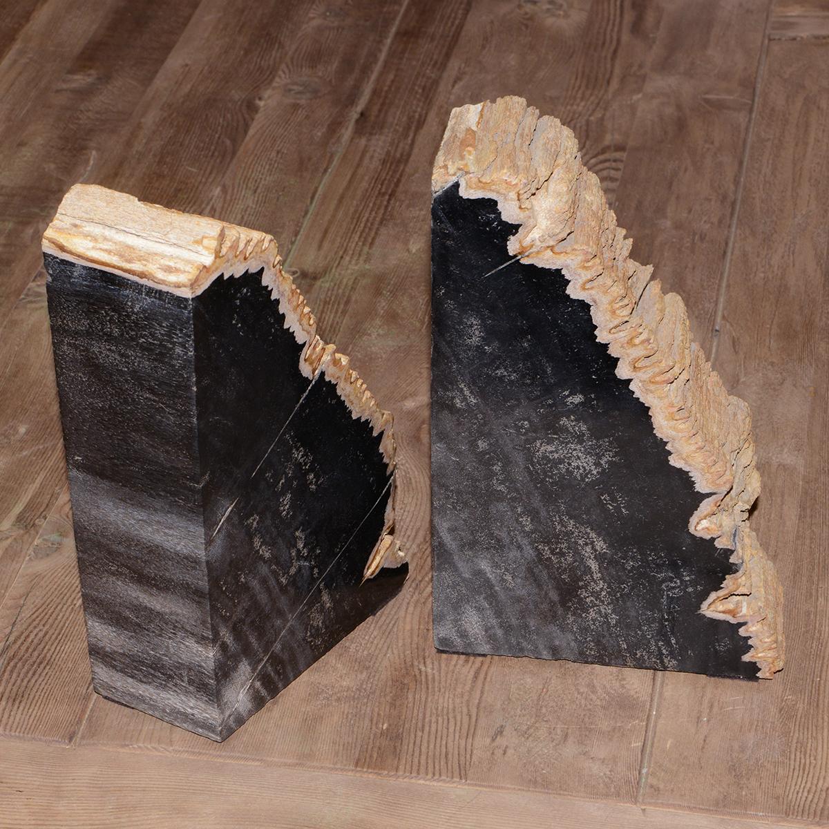 Mountain Petrified Set of 2 Bookends In New Condition For Sale In Paris, FR