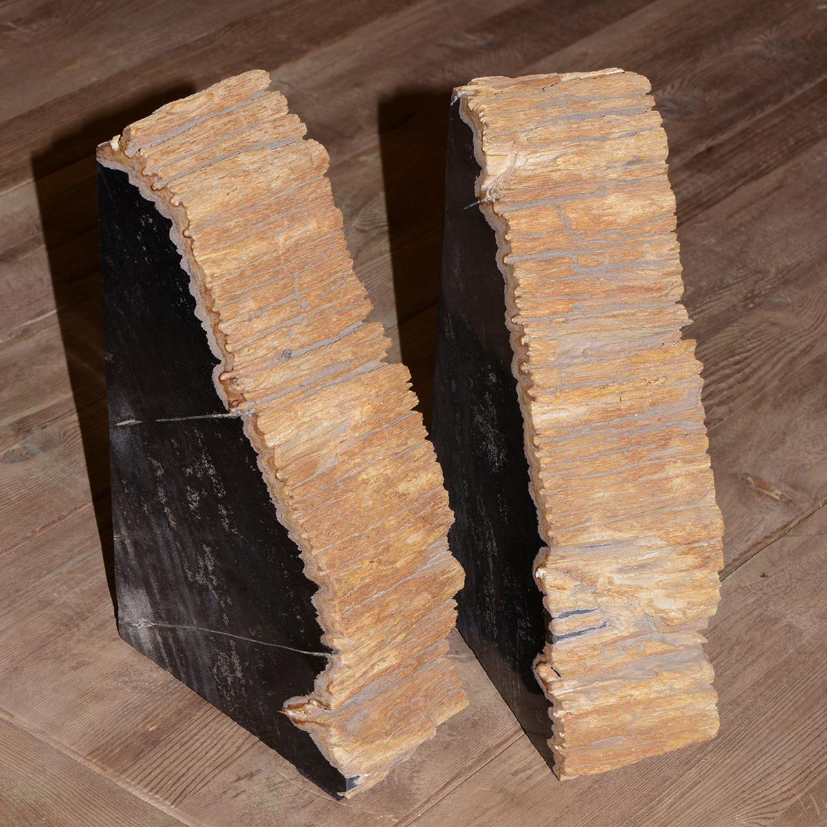 Legno pietrificato Set di 2 fermalibri Mountain Petrified in vendita