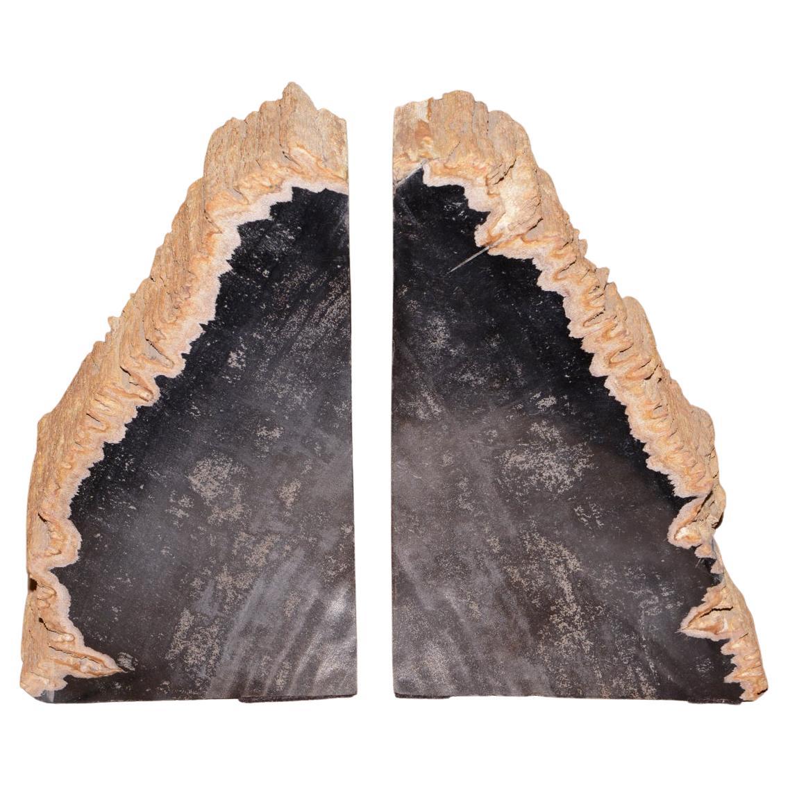 Mountain Petrified Set of 2 Bookends For Sale