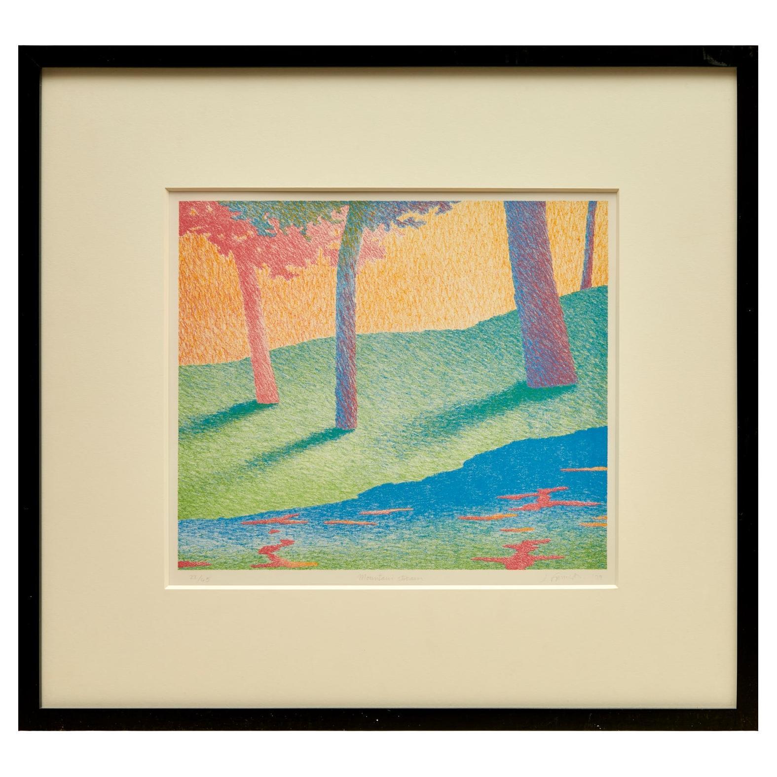 Arroyo de montaña, litografía firmada, enmarcada y numerada de John Fassolas, 1979