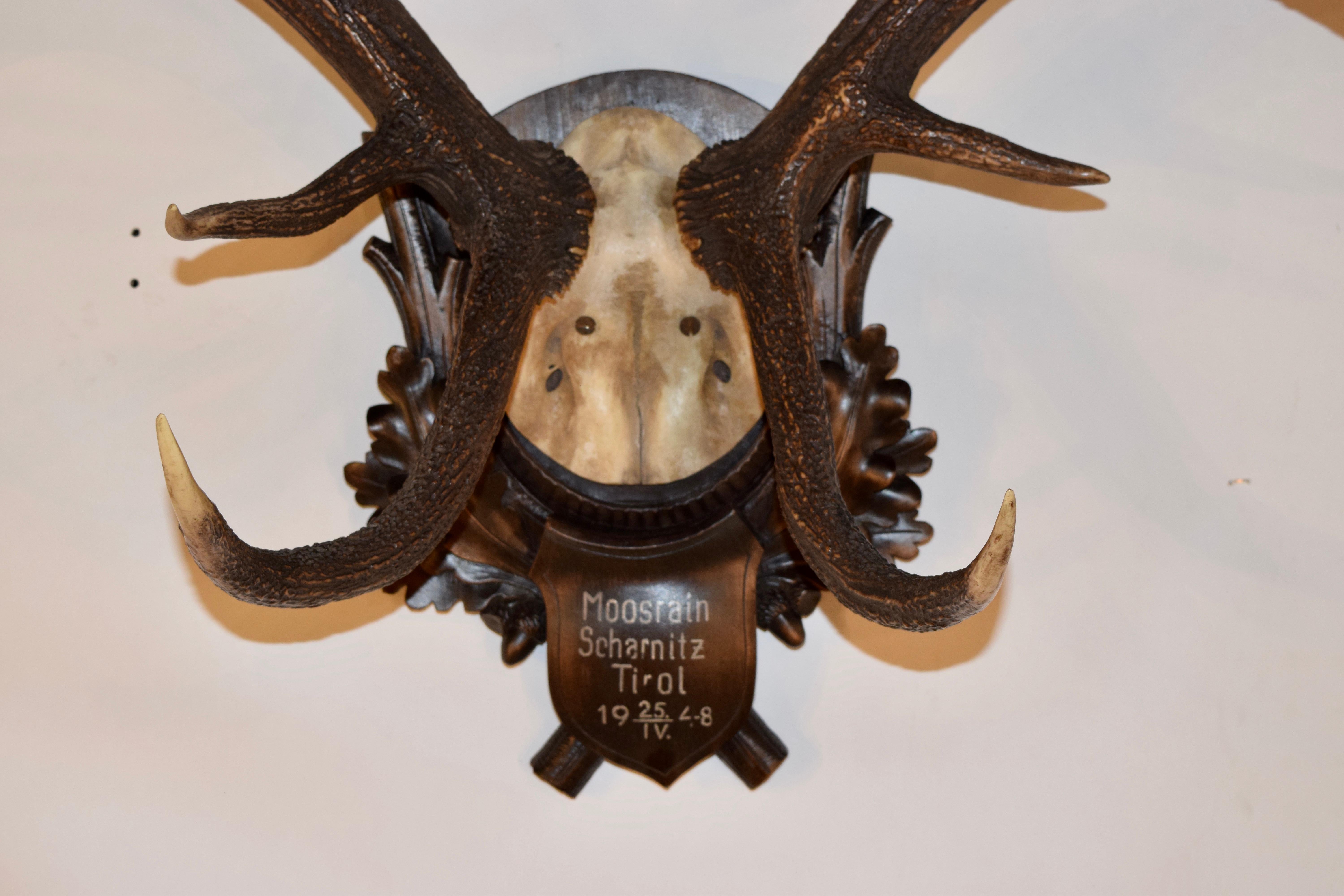 Mounted 11 point red stag trophy with hand carved Black Forest plaque. The plaque is signed Moosrain Scharnitz Tirol, which is in between German and Austrian border. It is a pass well known for outdoor sports. This trophy dates from 1948.