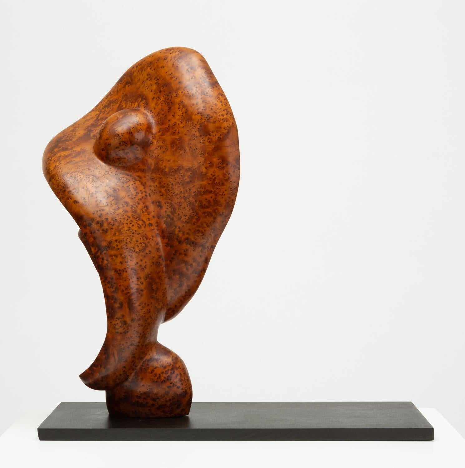 A unique, smoothly carved biomorphic sculpture in a highly figured bird's-eye mahogany, mounted on a thick base of black laminate. The stylized irregularity of the curved form offers a unique viewing experience from every vantage point; it