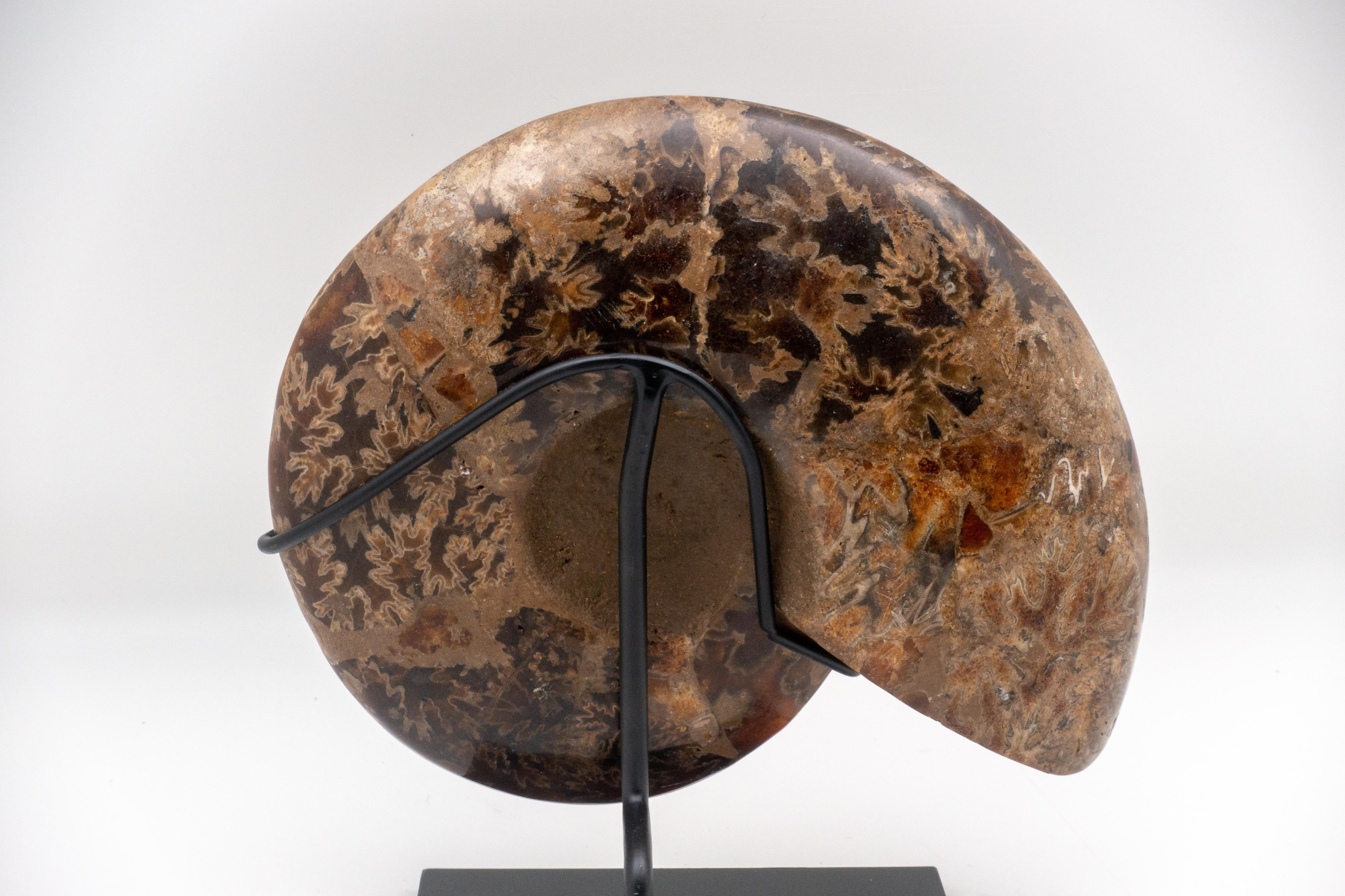18th Century and Earlier Mounted Ammonite