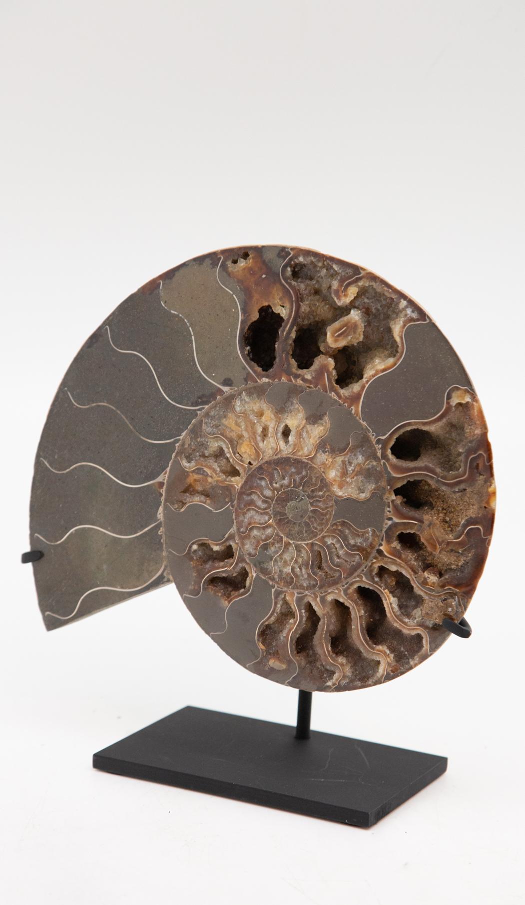 Metal Mounted Ammonite Slice