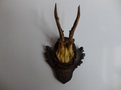Mounted Antler Trophy Blackforest 1930
