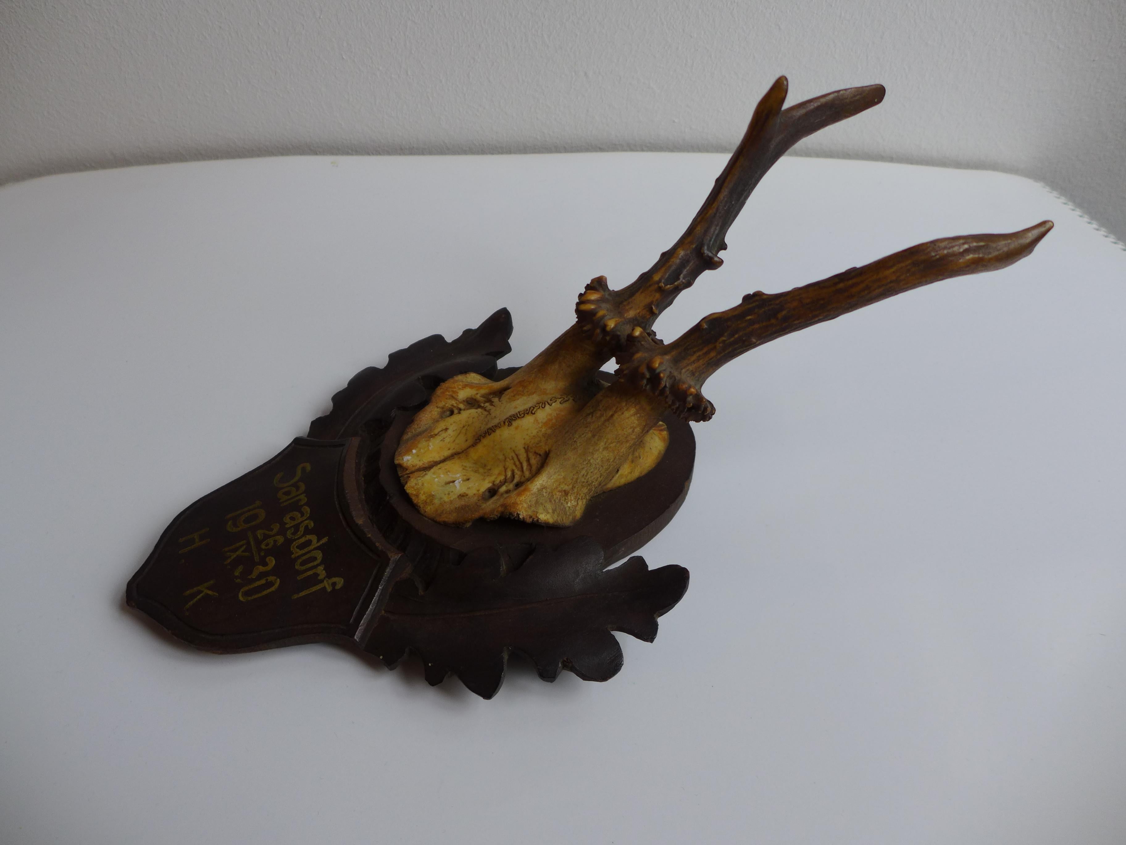 Fait main Mounted Antler Trophy Blackforest 1930 en vente