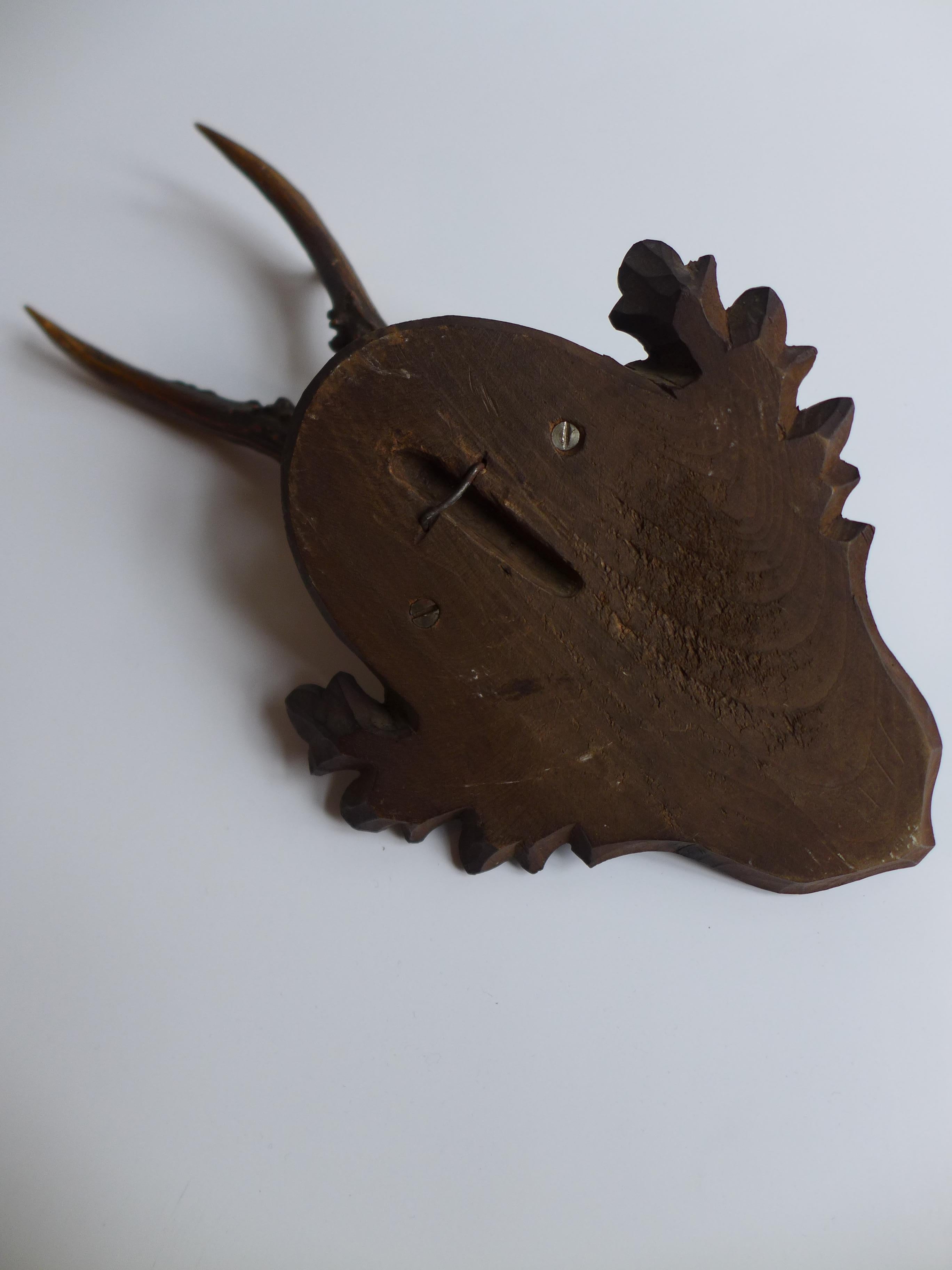 Mounted Antler Trophy Blackforest 1930 en vente 1