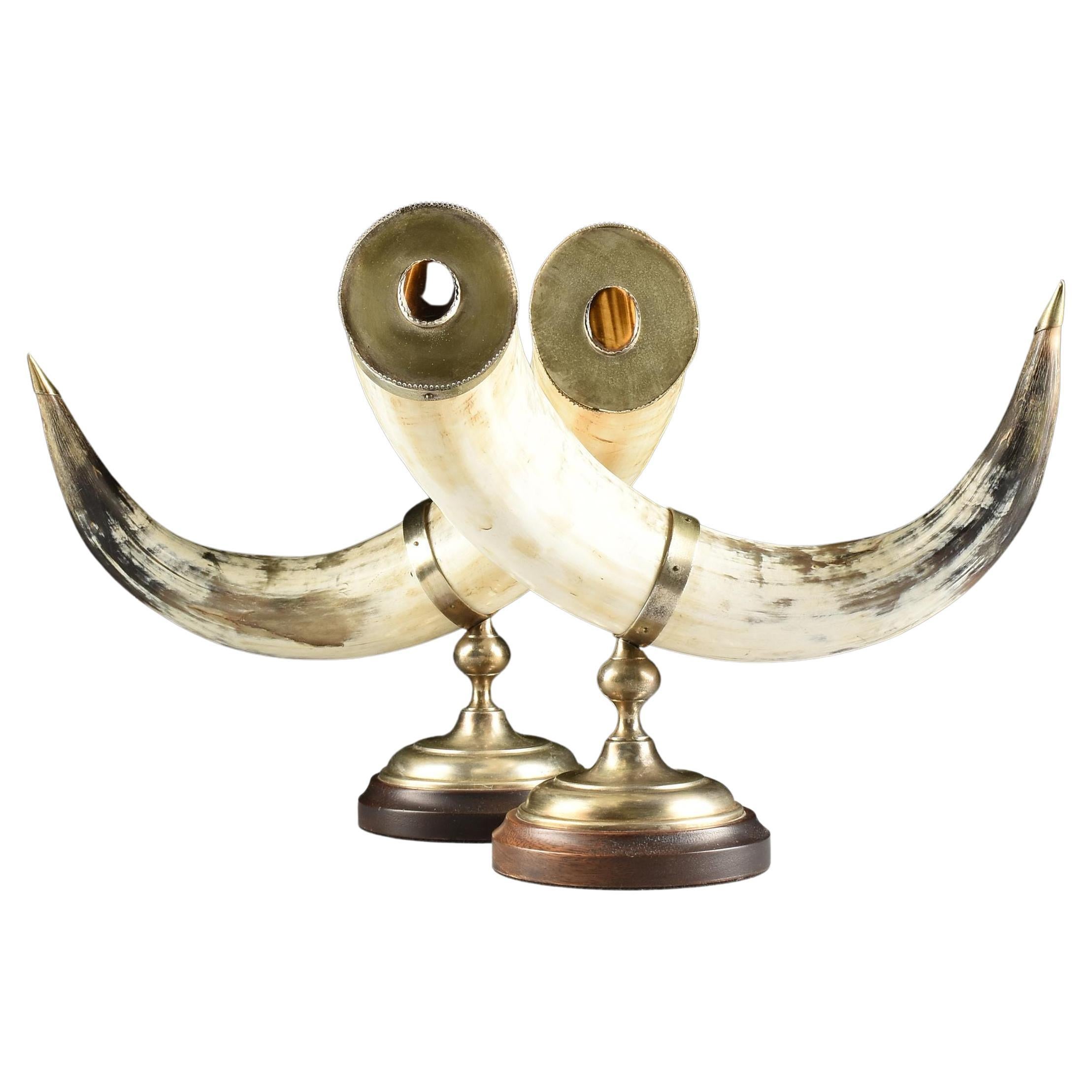 Single Polished Bull Horn Sculpture on Square Black Modern Pedestal For