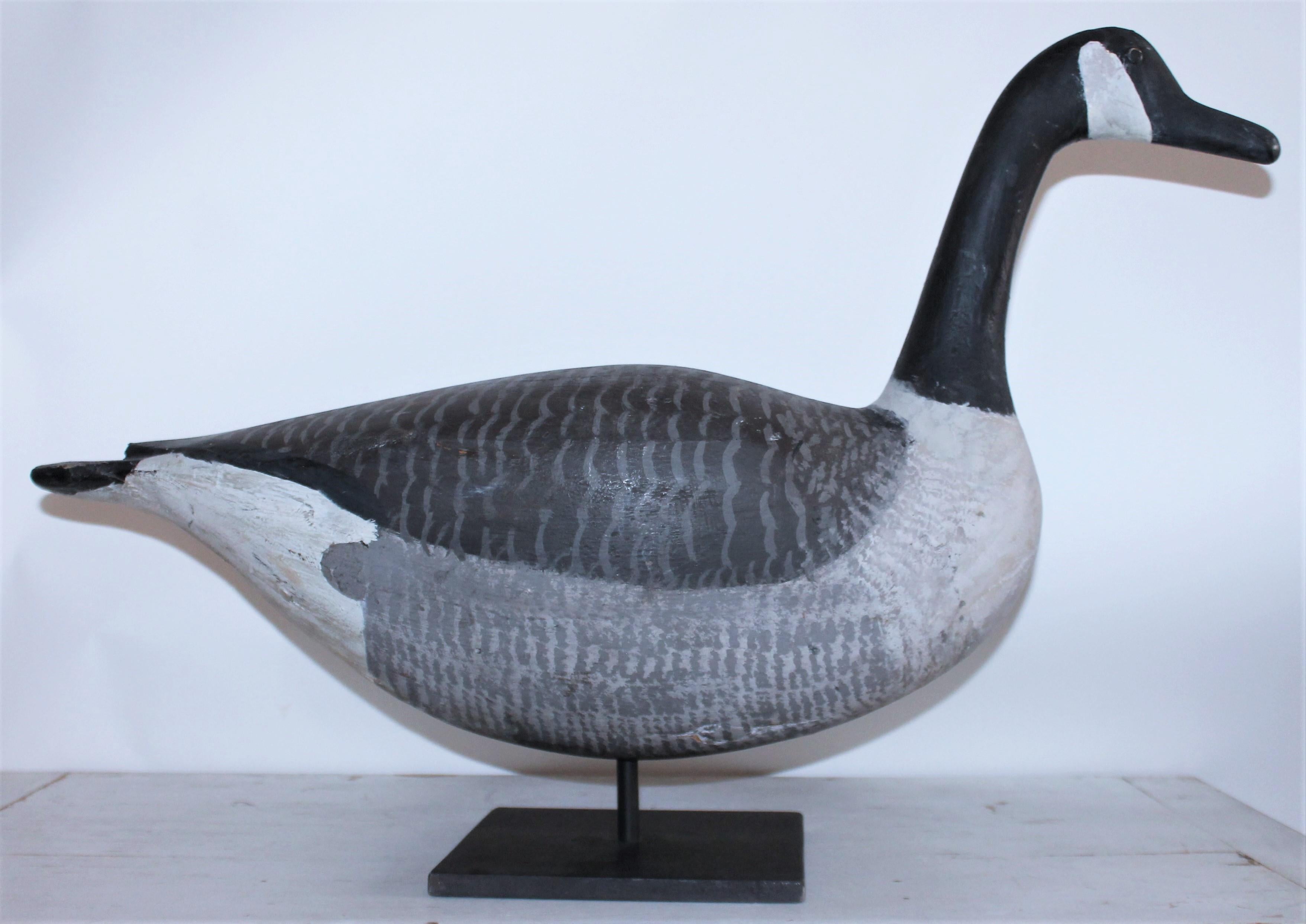 This fine Canadian Goose with nice fat belly shape is in original surface and in great condition as found. This goose comes from a collection from the East coast. Custom iron mount.