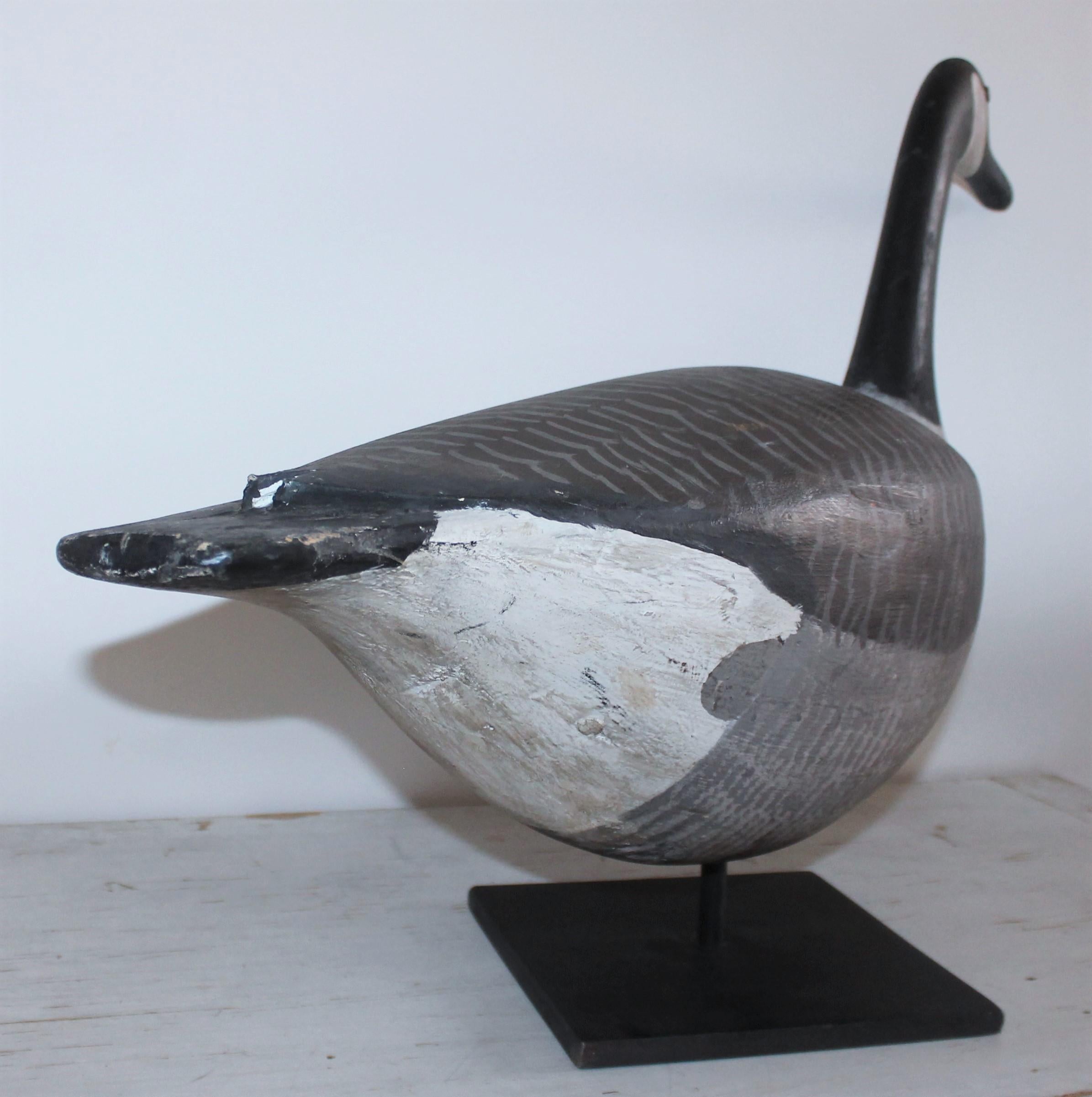 Adirondack Mounted Canadian Goose in Original Paint For Sale