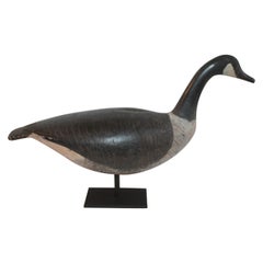 Mounted Canadian Goose in Original Paint