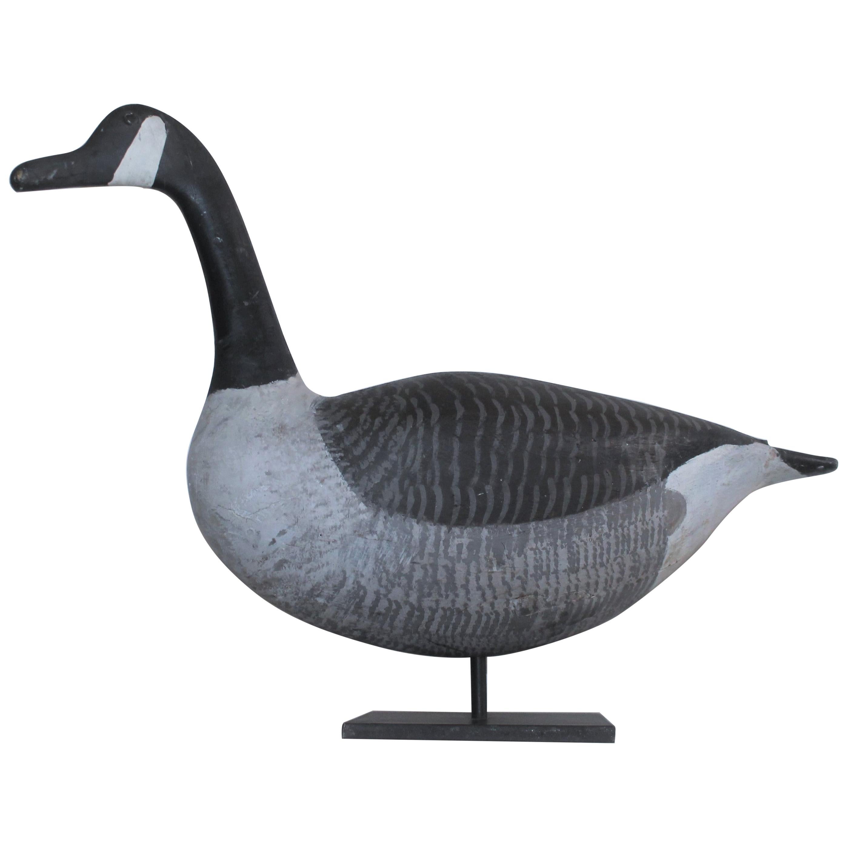 Mounted Canadian Goose in Original Paint