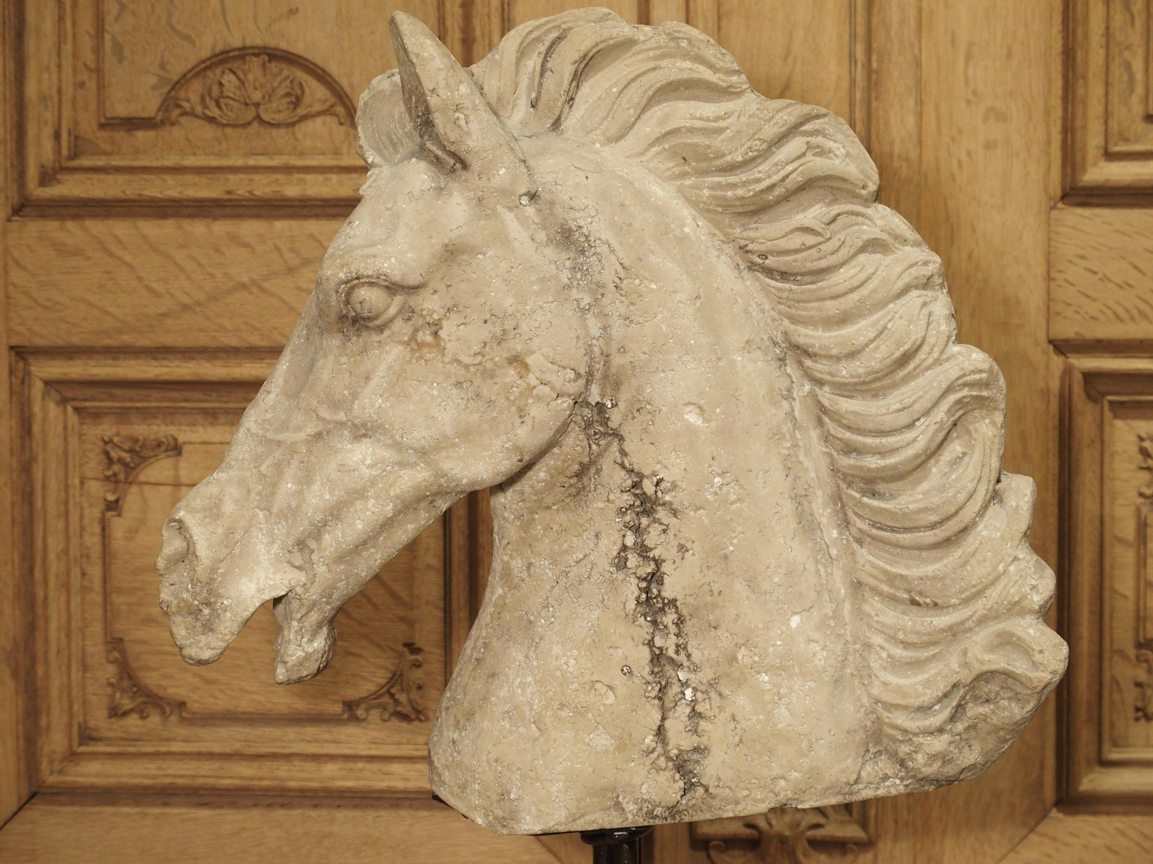 Mounted Cast Stone Horse Head on Iron Base 11