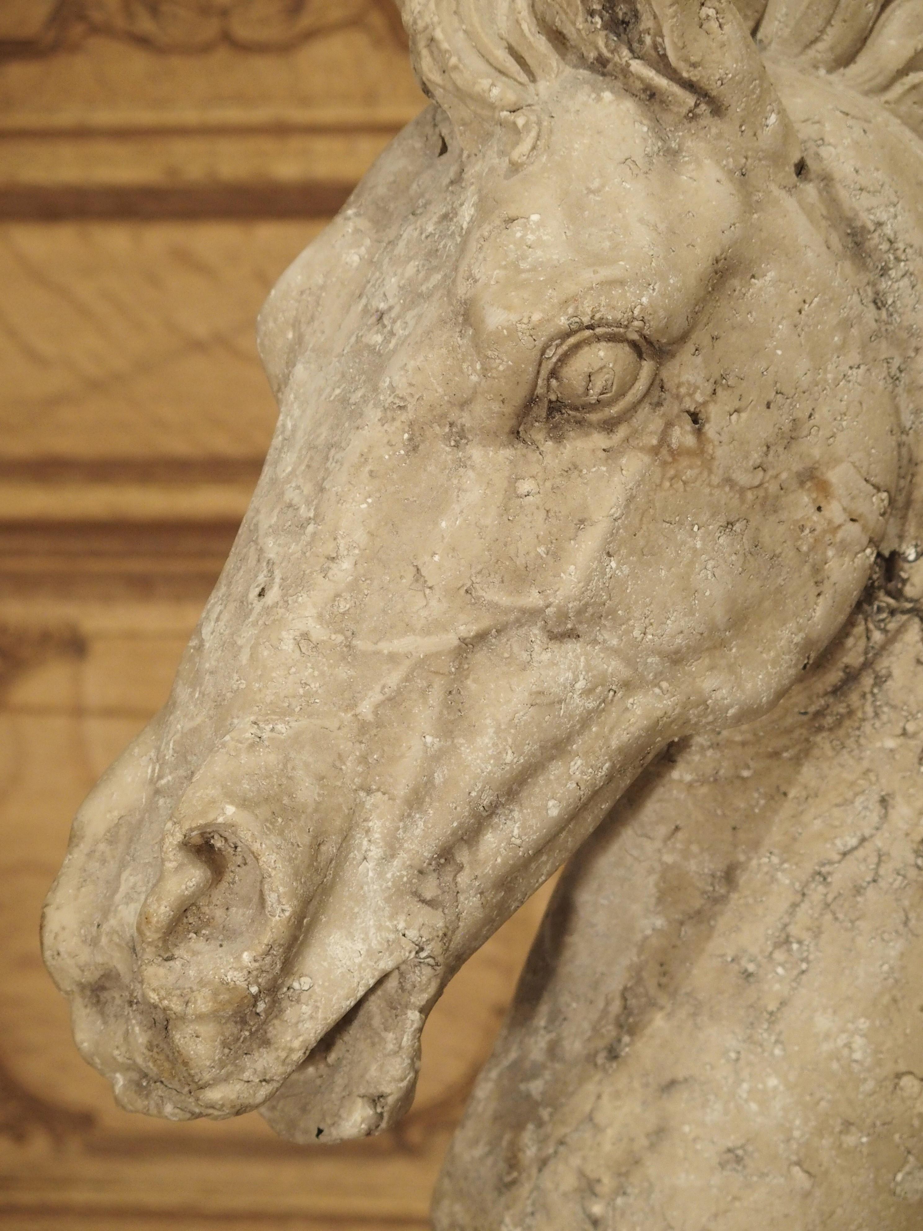 Mounted Cast Stone Horse Head on Iron Base 12