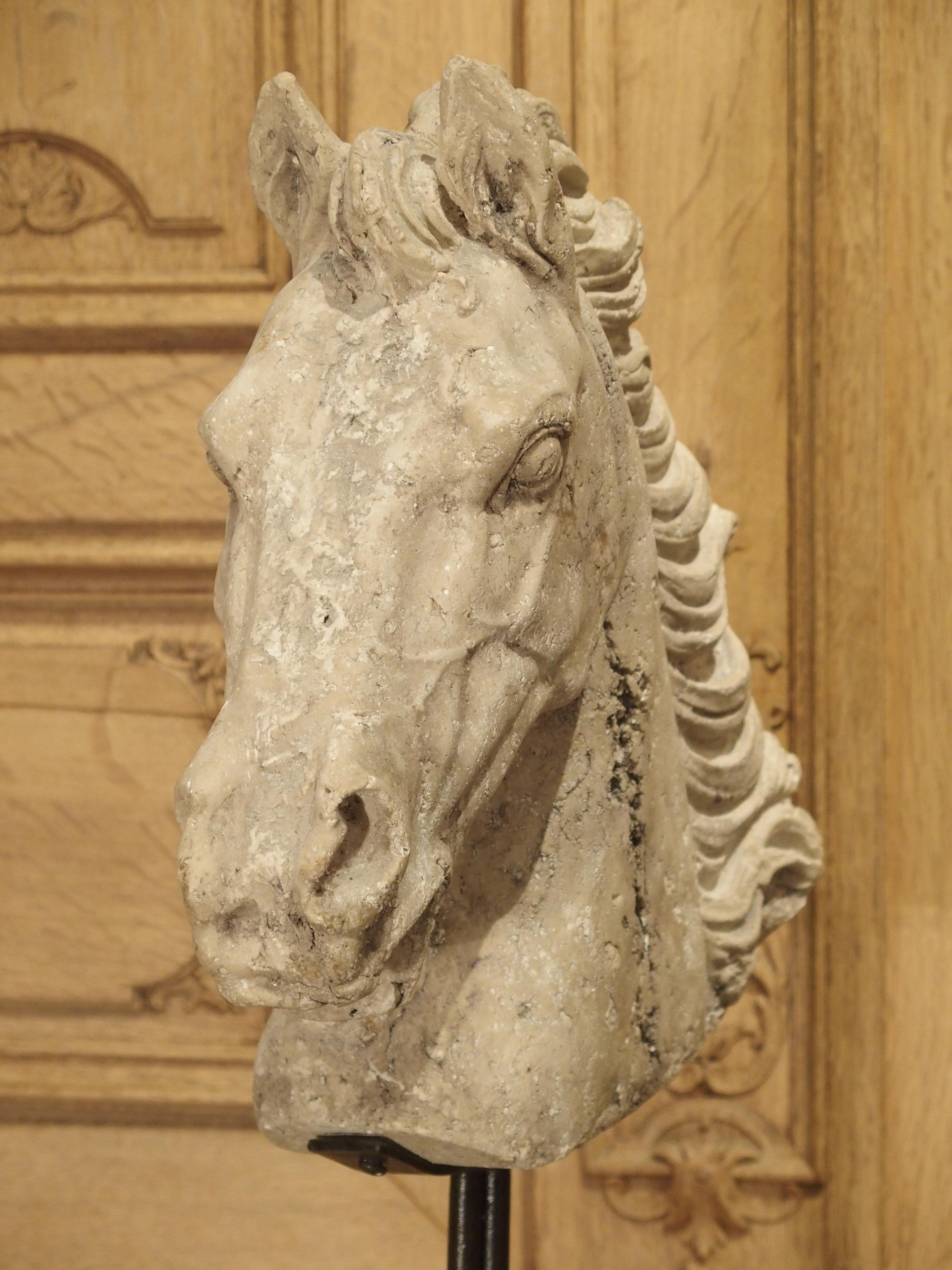 Mounted Cast Stone Horse Head on Iron Base In Good Condition In Dallas, TX