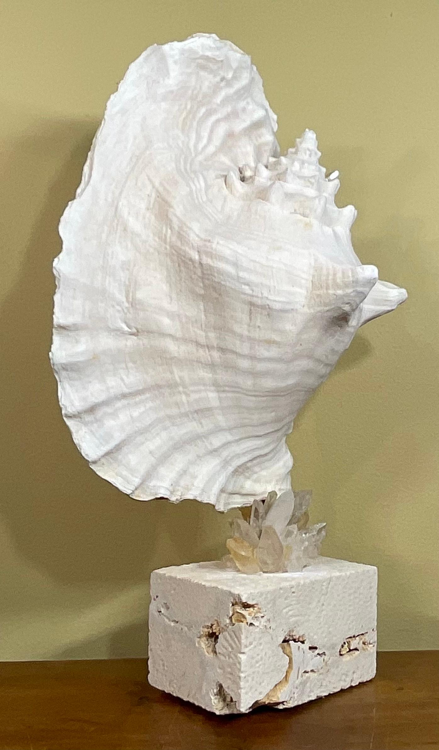 American Mounted Conch Shell with Crystal For Sale