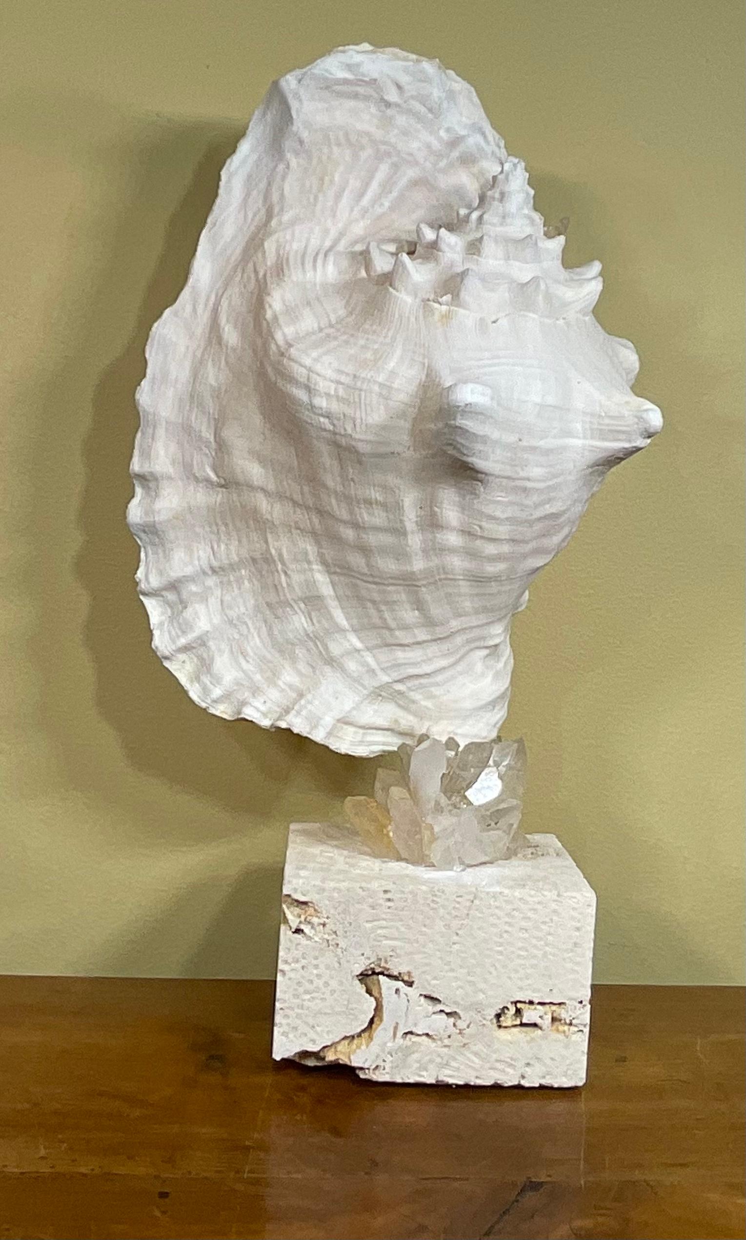 Hand-Crafted Mounted Conch Shell with Crystal For Sale