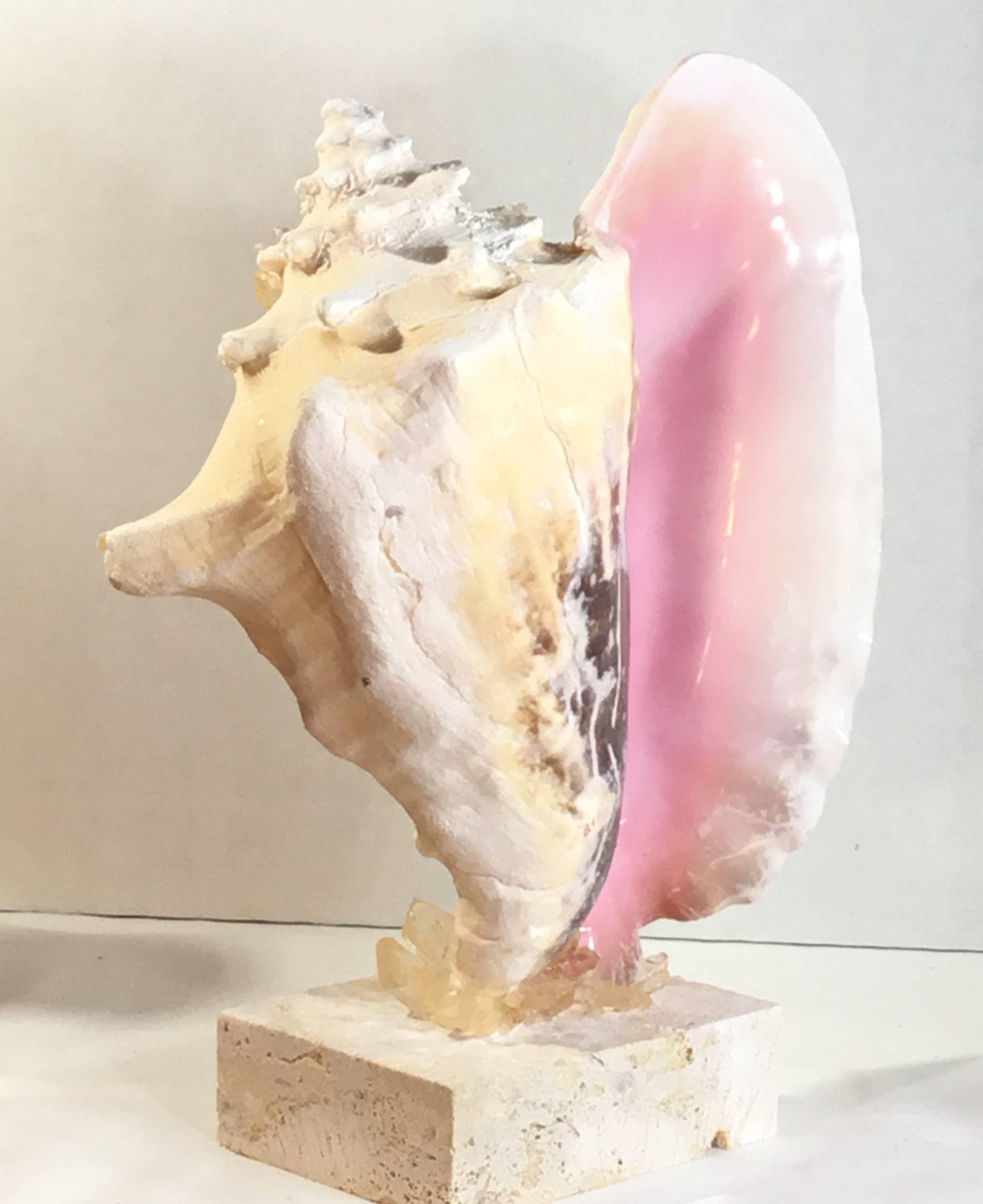 20th Century Mounted Conch Shell with Crystal