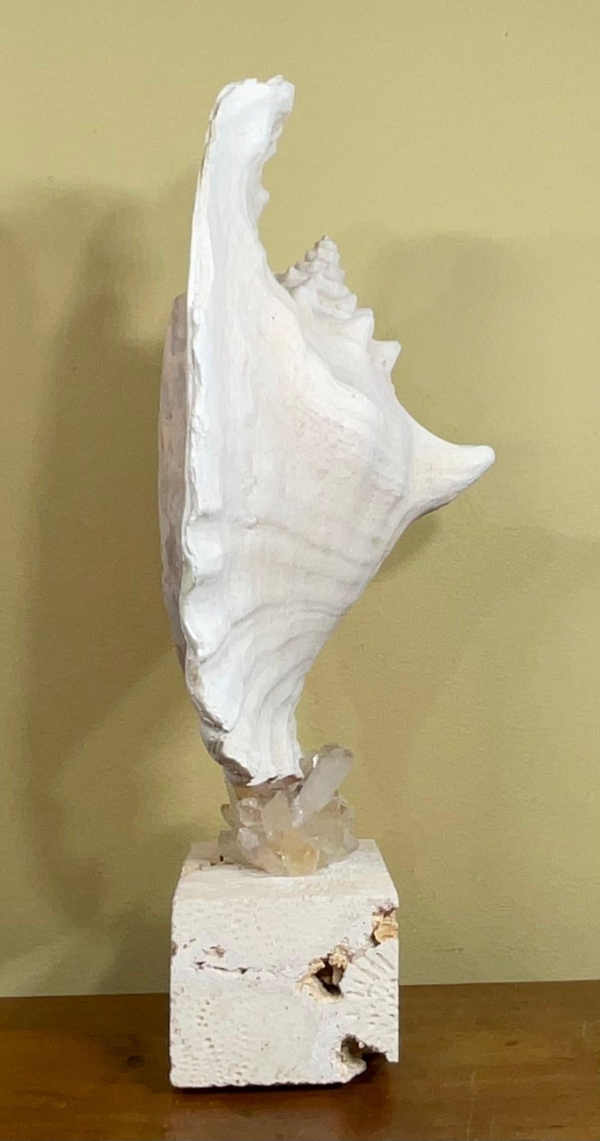Mounted Conch Shell with Crystal In Good Condition For Sale In Delray Beach, FL