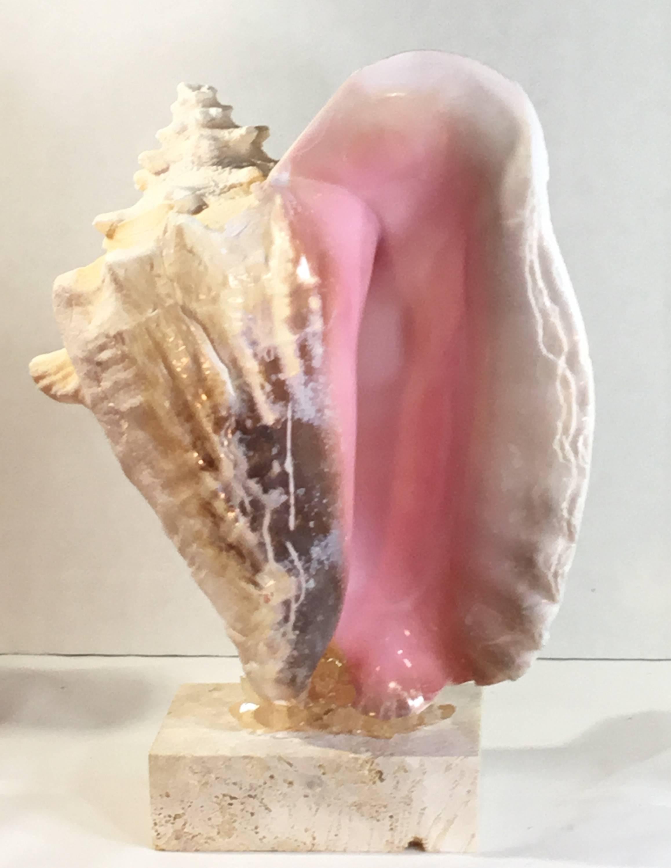 Rock Crystal Mounted Conch Shell with Crystal