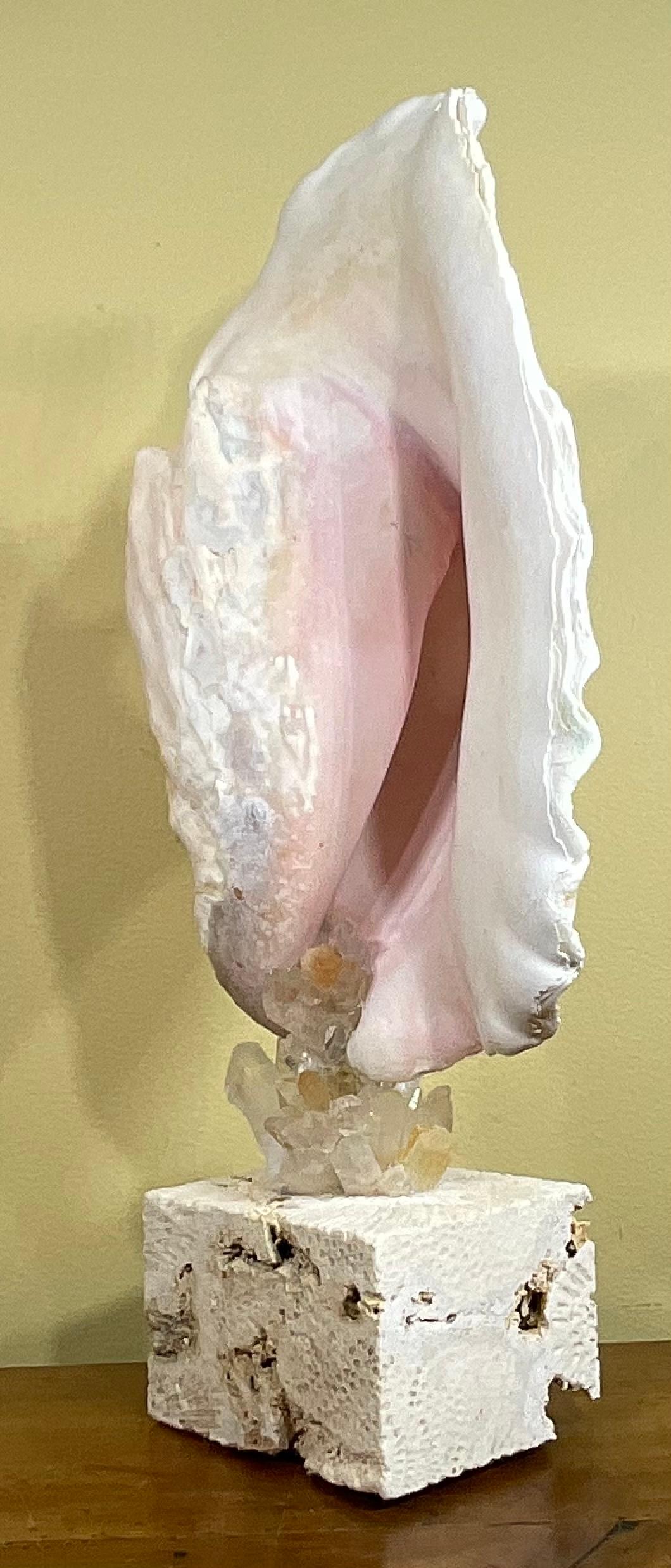 20th Century Mounted Conch Shell with Crystal For Sale