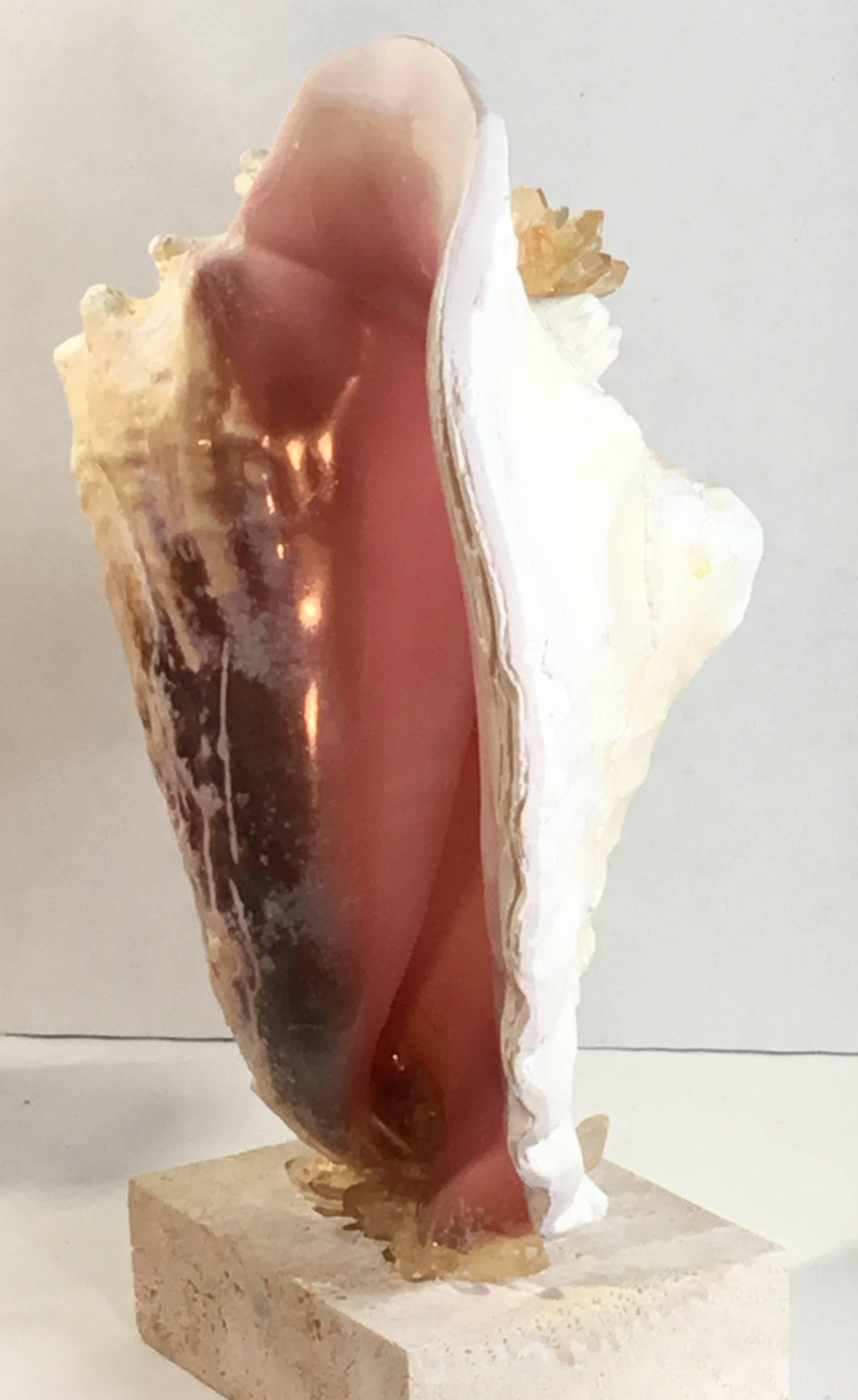Mounted Conch Shell with Crystal 1