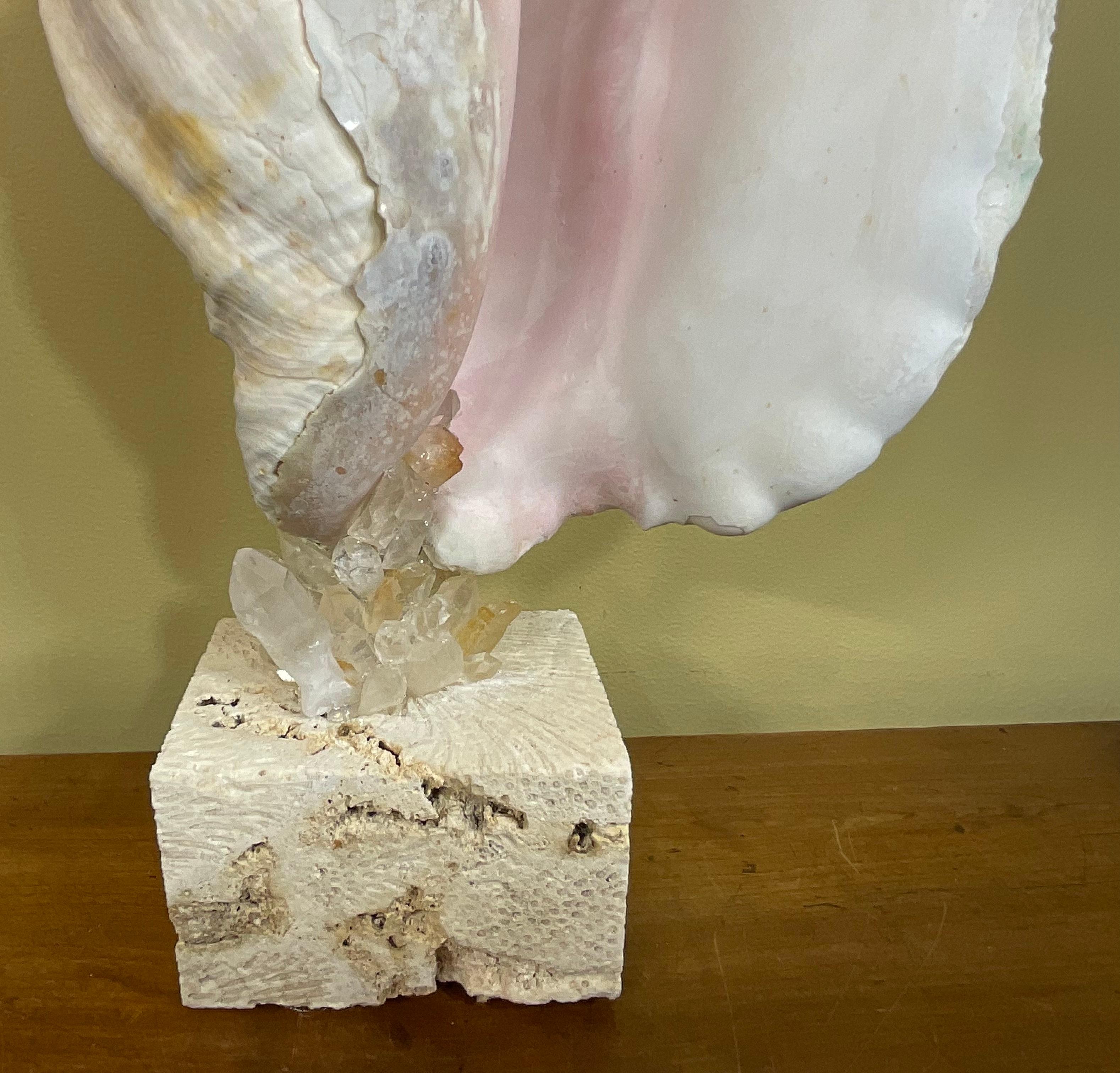 Mounted Conch Shell with Crystal For Sale 2