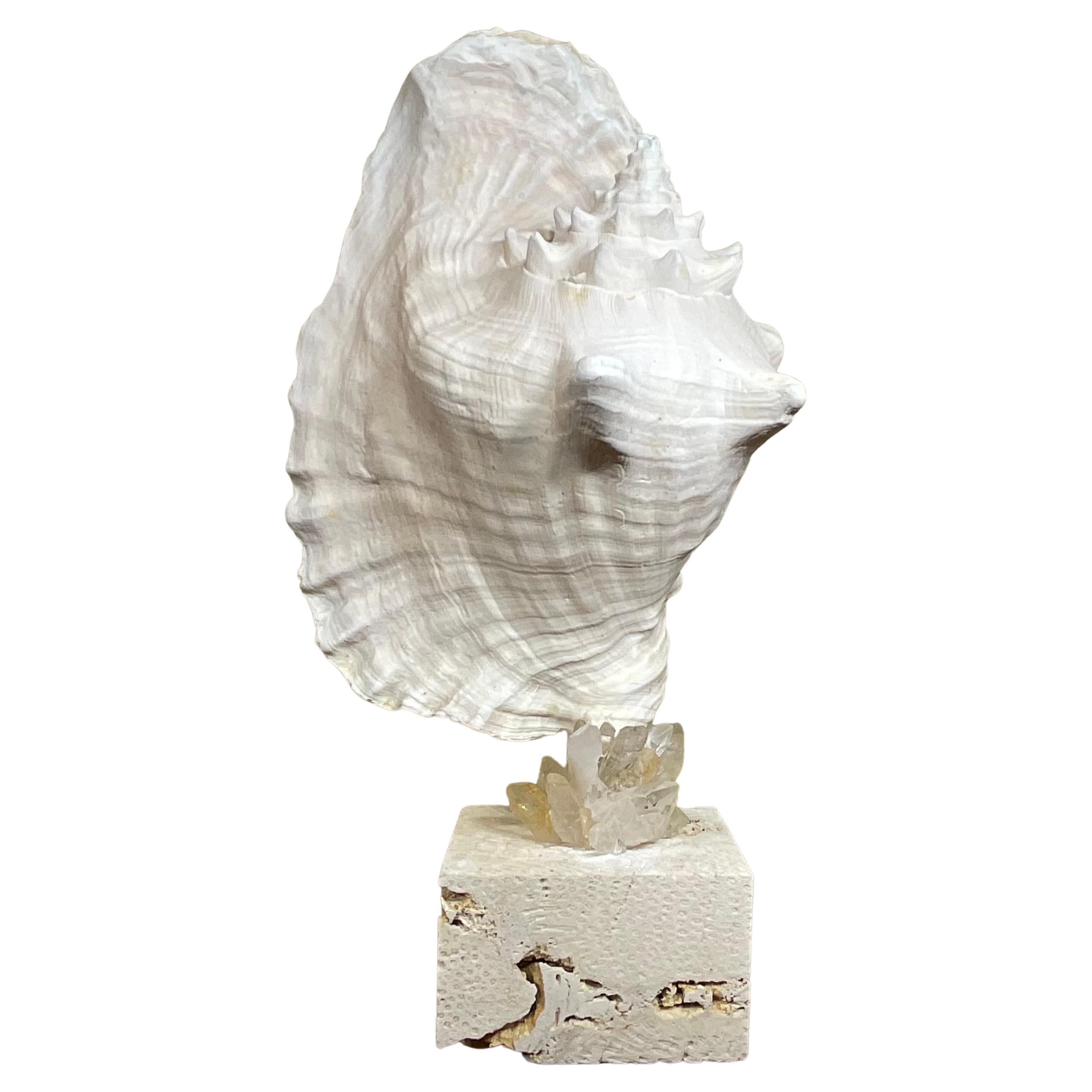 Mounted Conch Shell with Crystal For Sale