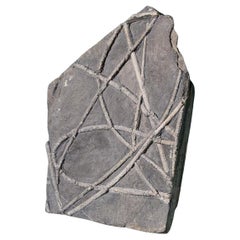 Mounted Crinoid Sea Lily Fossil