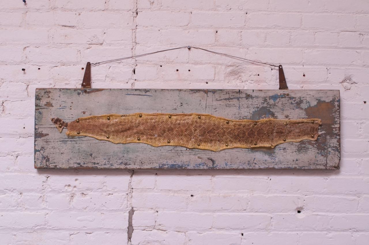 Rattlesnake skin (likely a Diamondback, based on its pattern) mounted via brass studs to a painted blue plank, circa 1950s. The metal brackets, which house the wire, show natural rusting / patina from age. The plank also bears patina from age, with