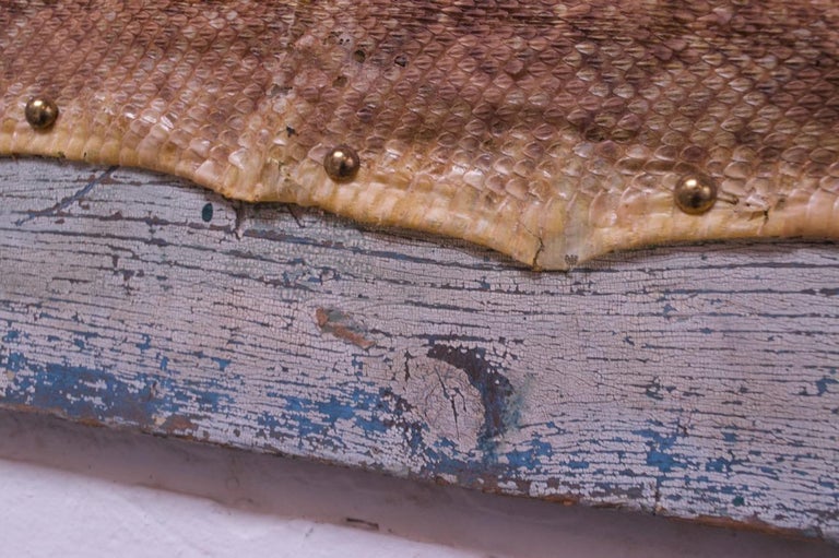 Mounted Diamond Back Rattlesnake Skin For Sale at 1stDibs