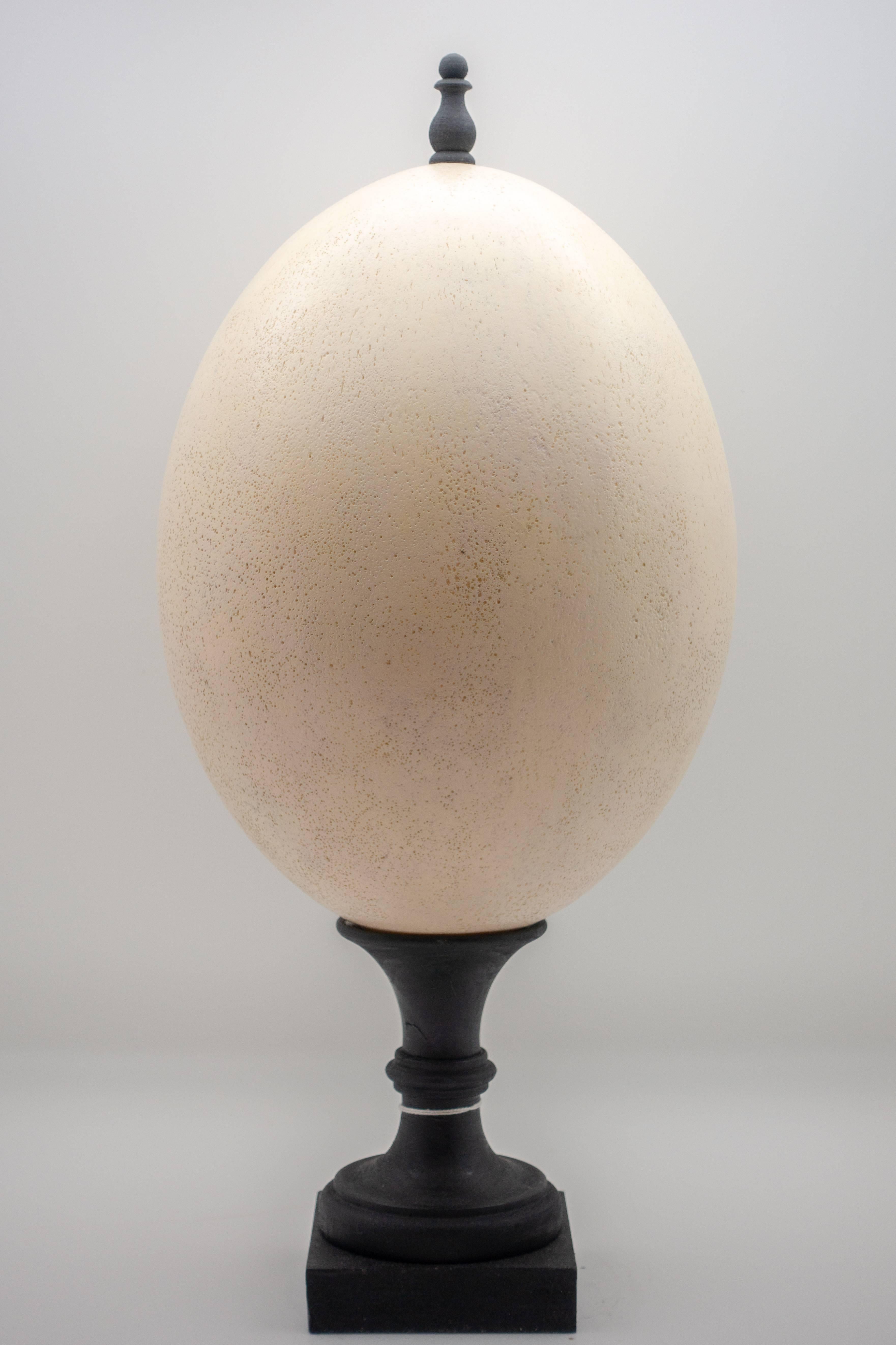 Resin replica of elephant bird egg mounted on a black wooden base with finial. Elephant birds were large flightless birds native to Madagascar that lived until approximately 1000-1200 AD; they were believed to have been more than 3 meters tall (9.8