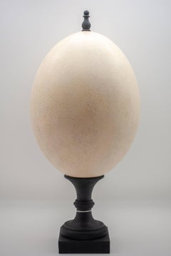 Mounted Elephant Bird Egg Replica with Finial