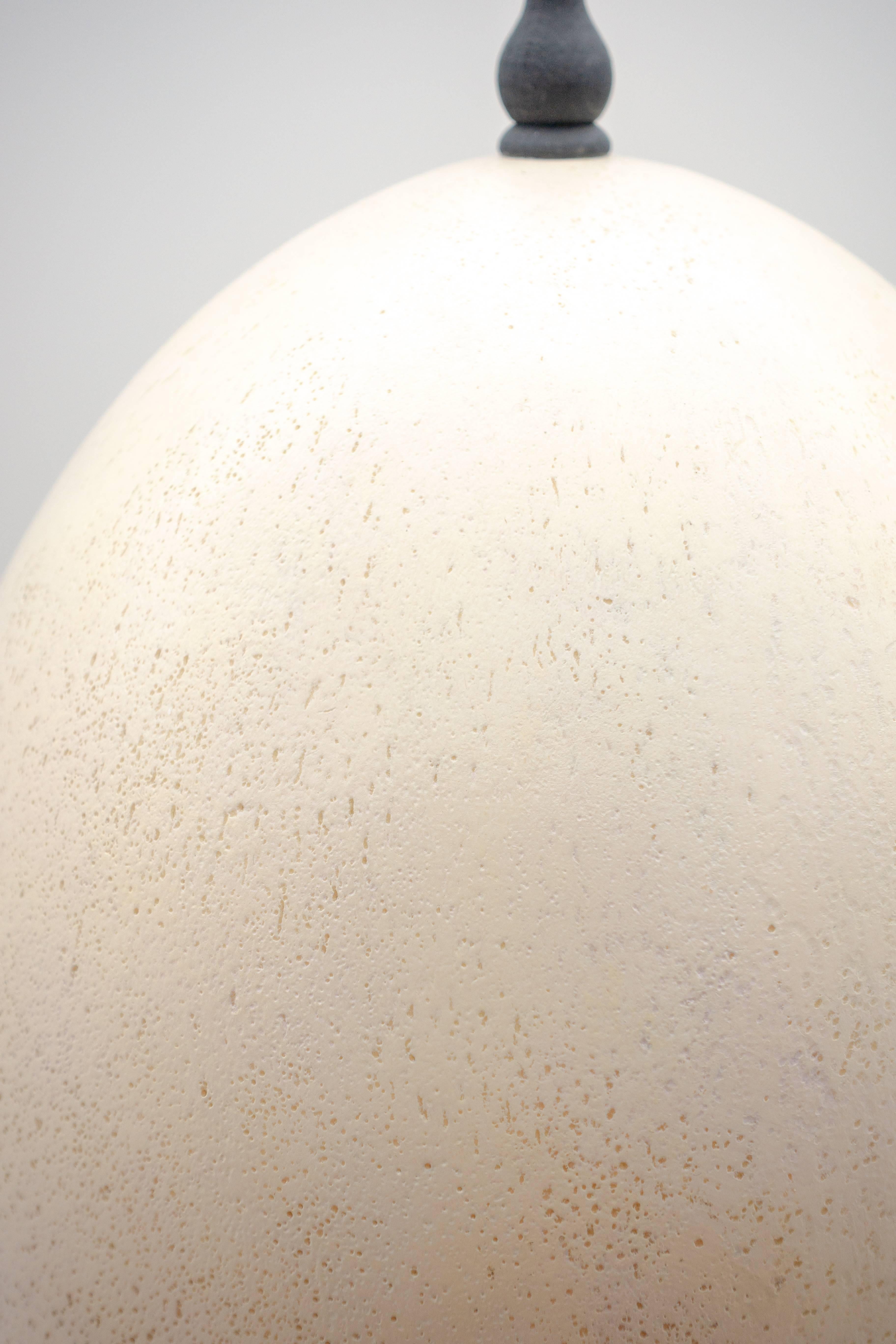 American Mounted Elephant Bird Egg Replica with Finial