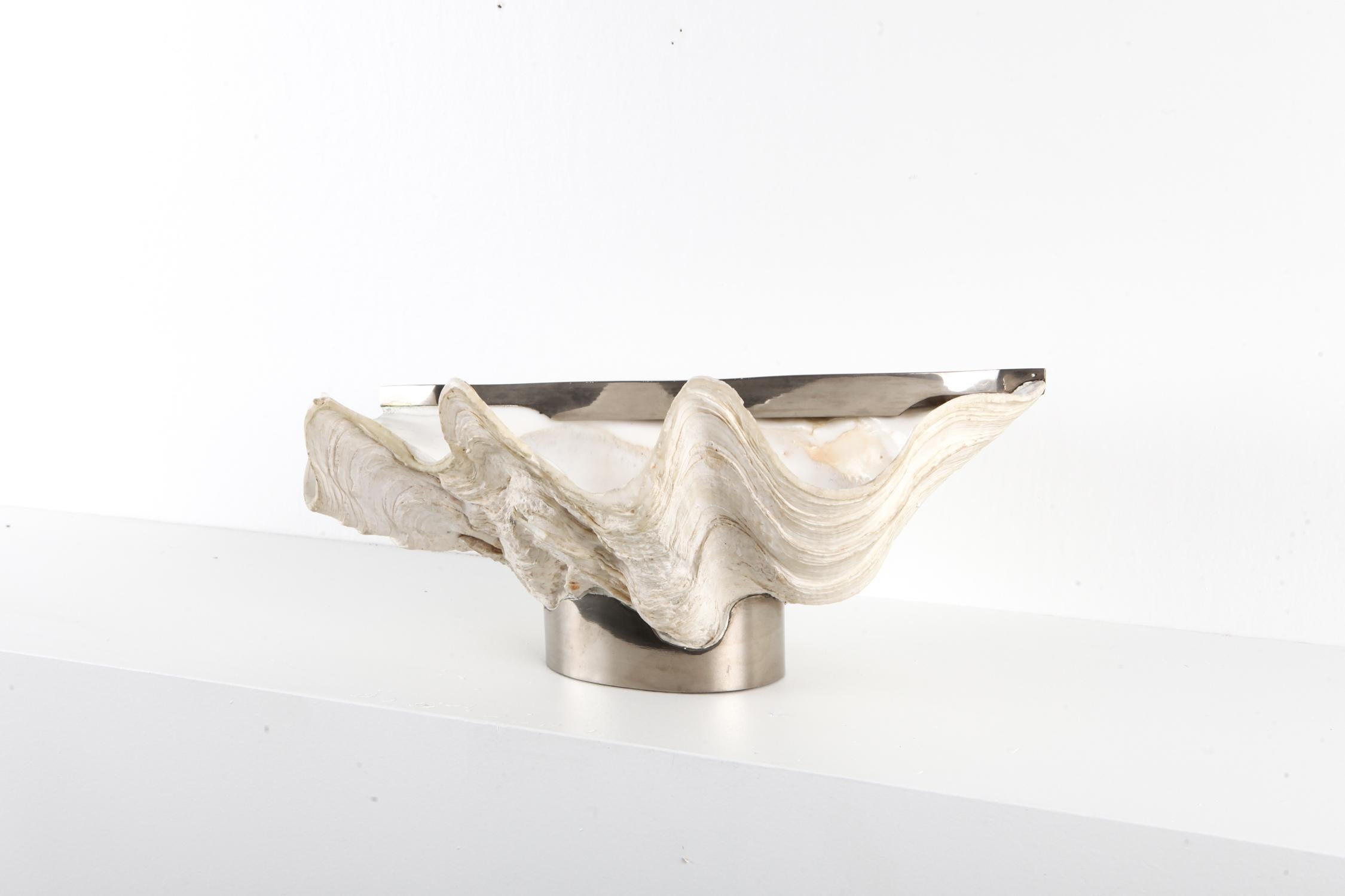 Decorative chic bowl 
a giant clam shell on a silver plated brass mount
Hollywood Regency chic piece
Italy, 1950s.
          