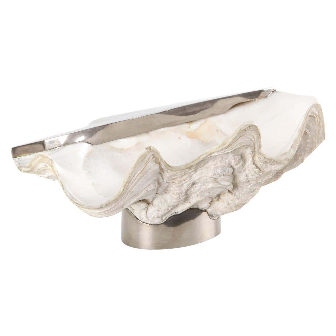 Mounted Giant Clam Shell at 1stDibs