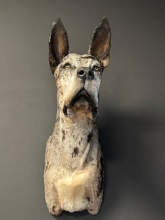 Mounted head of a Great Dane dog