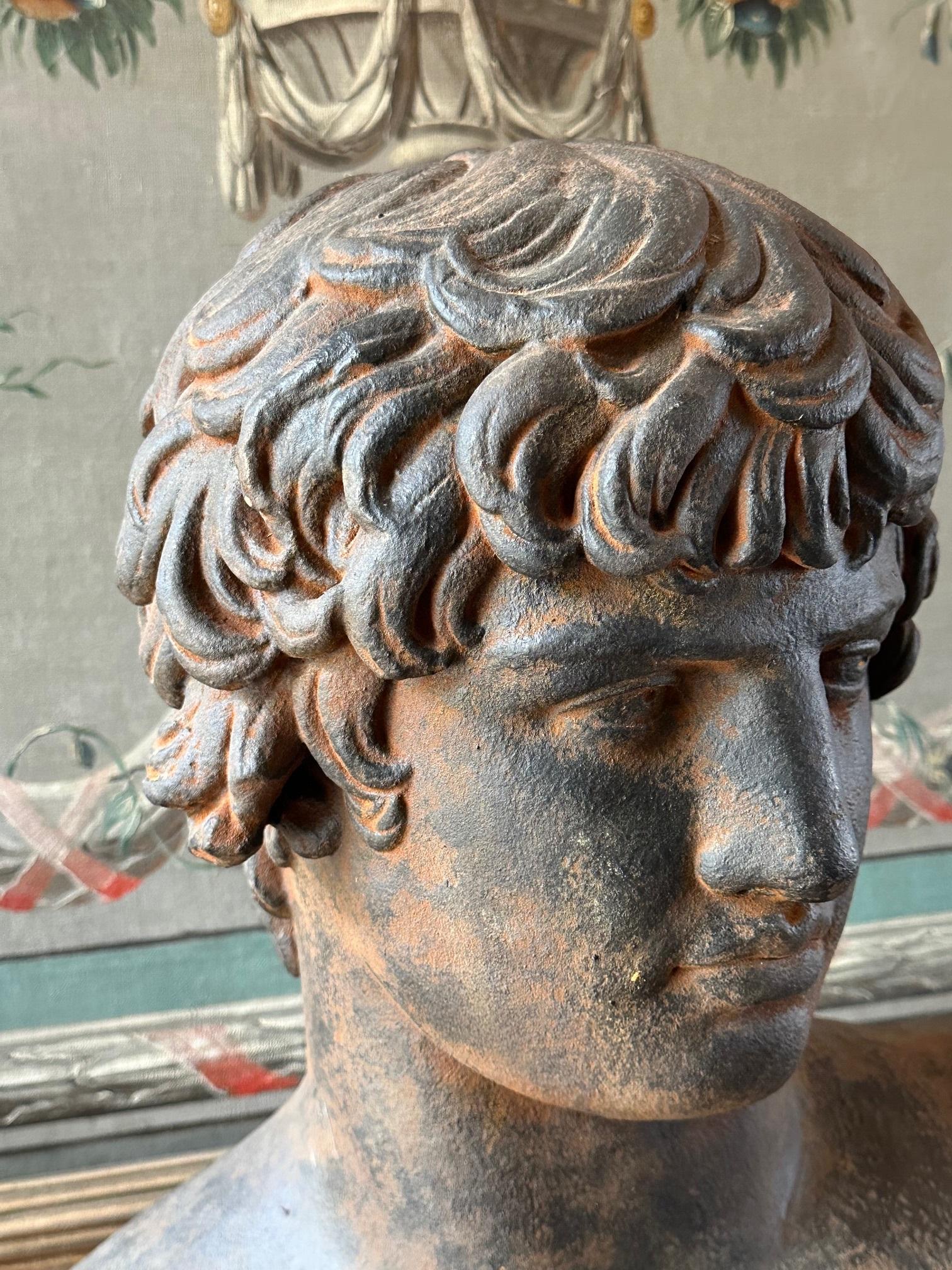 Mounted Large Bust God of Beauty Cast Study Of Antinous in Roman Style Sculpture For Sale 6