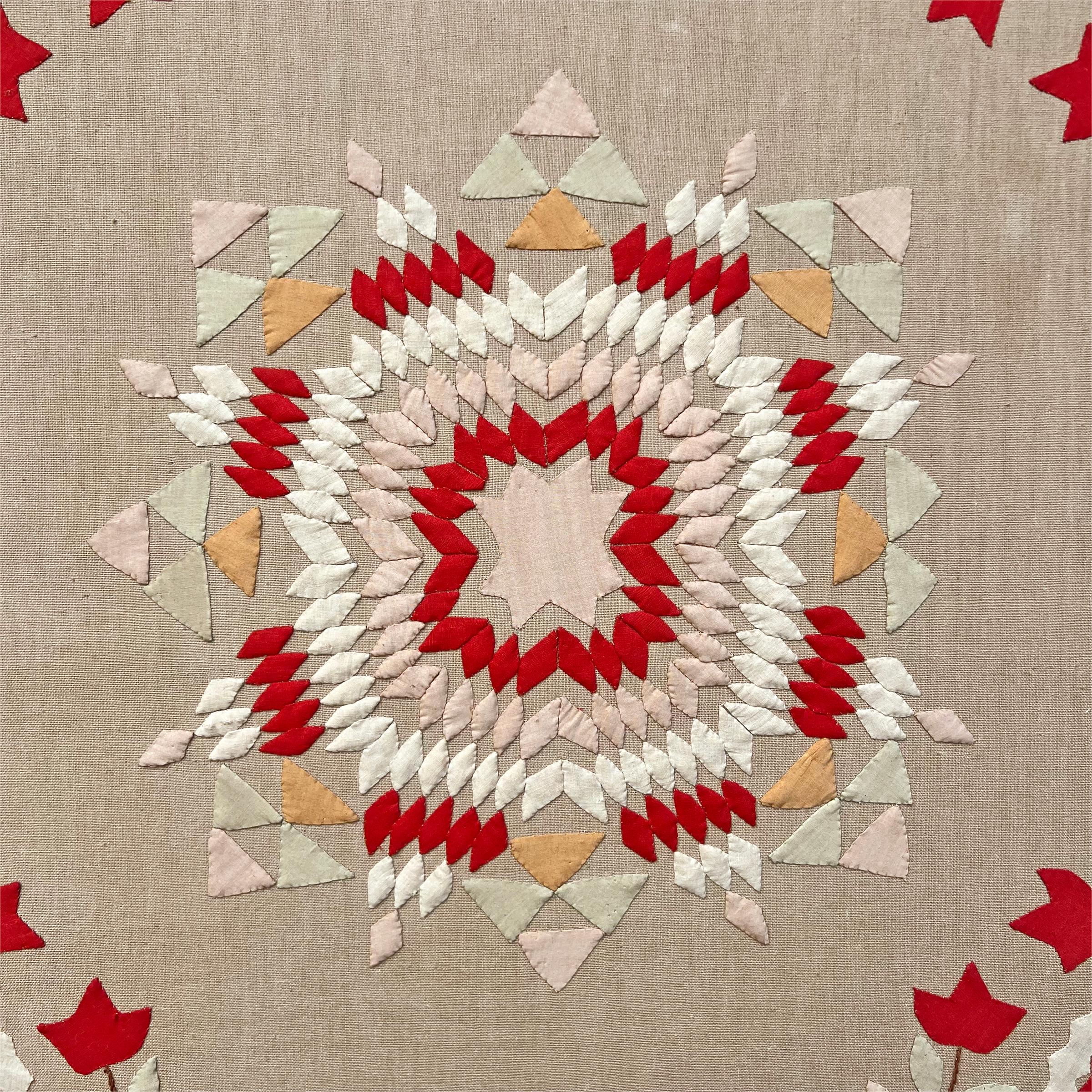 Cotton Mounted Late 19th Century American Appliqué Textile For Sale
